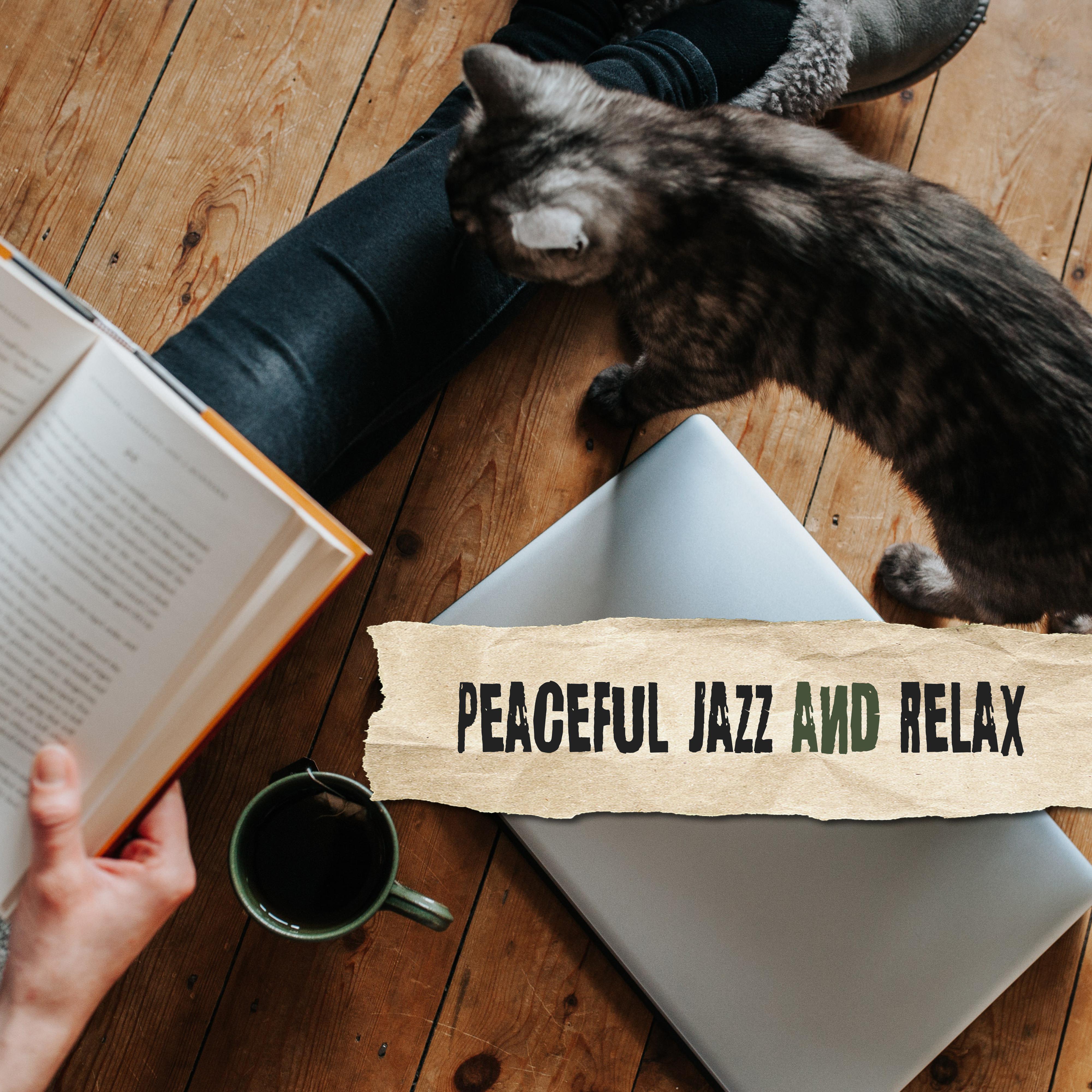 Peaceful Jazz and Relax  Instrumental Jazz Music Ambient, Lounge, Jazz Relaxation, Sentimental Jazz