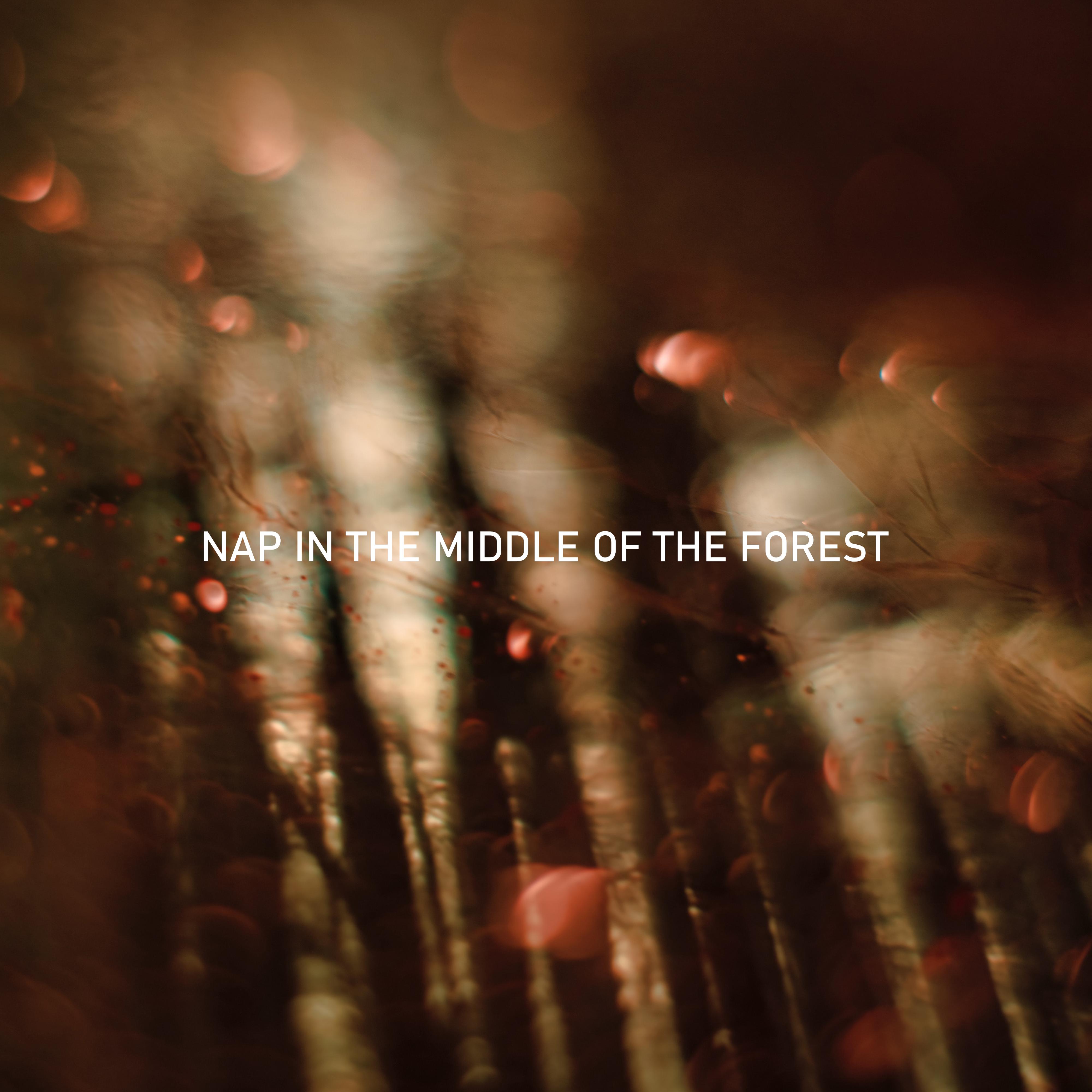 Nap in the Middle of the Forest: 2019 New Age Nature Music Selection Created for Perfect Sleep Experience, Restful Nap, Calm Down & Sweet Dreams