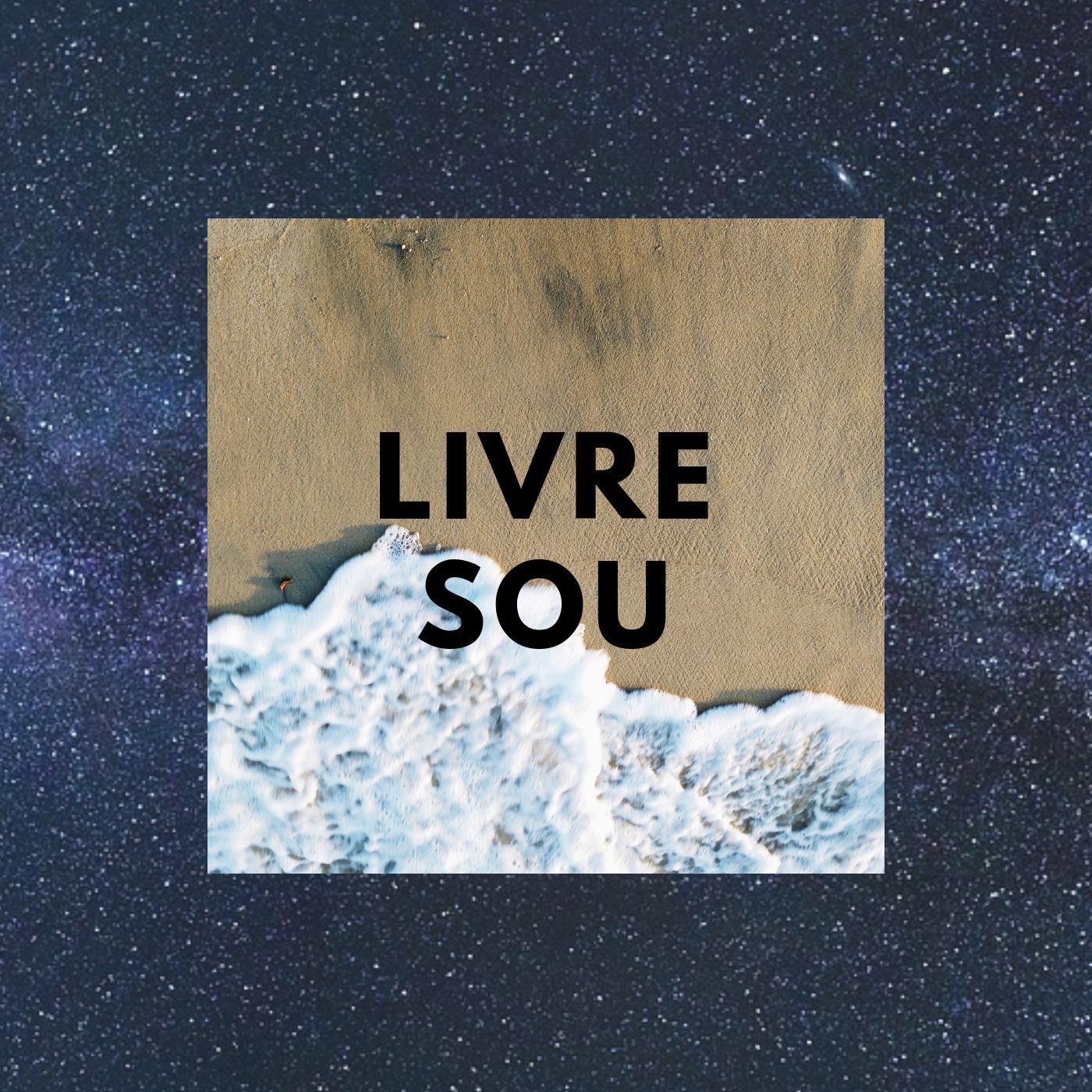 Livre Sou