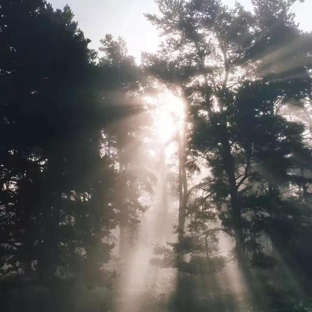 leng leng qing qing de feng feng huo huo