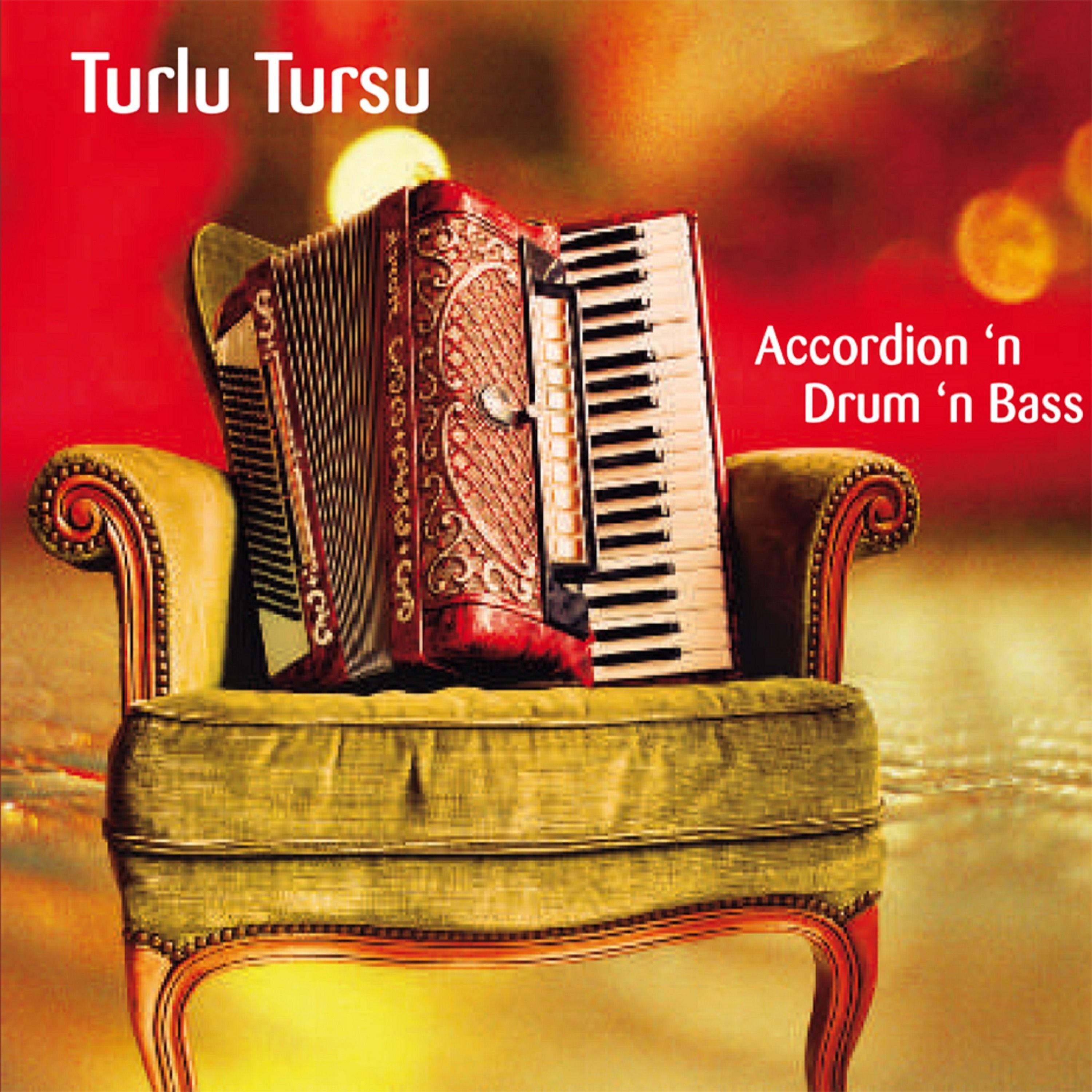 Accordion 'n Drum 'n Bass