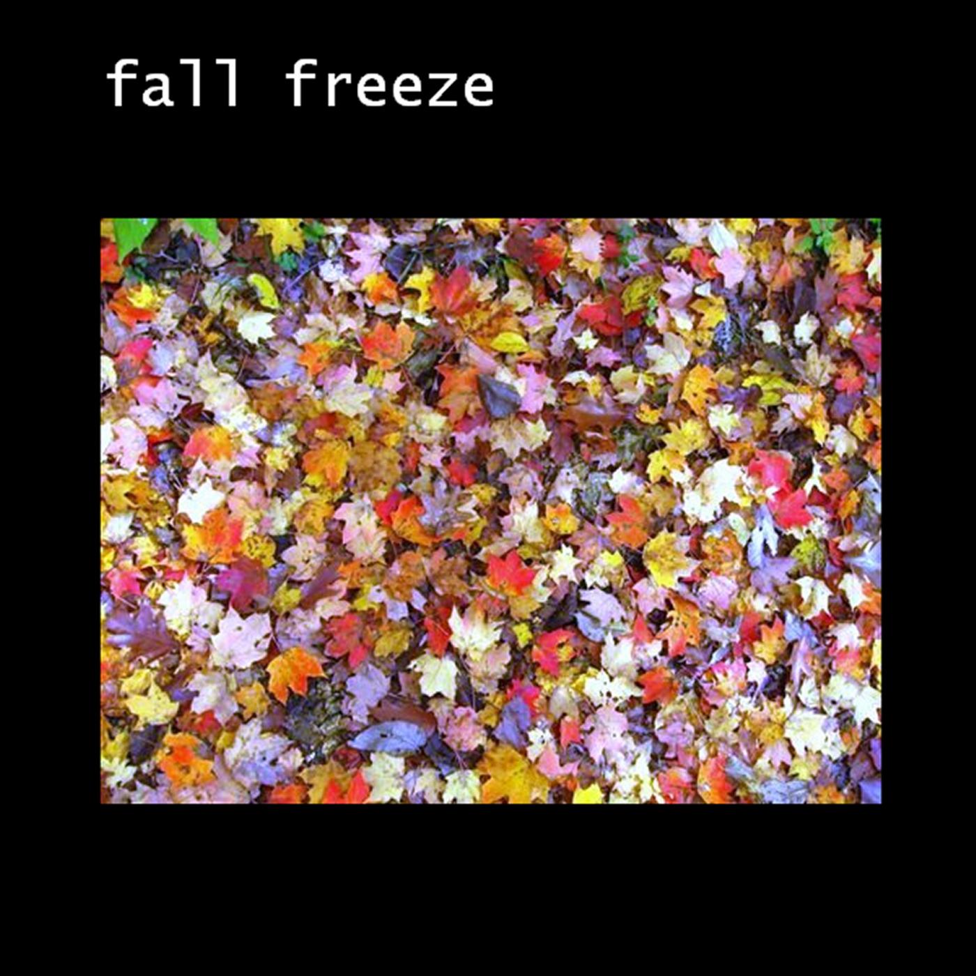Freeze 06