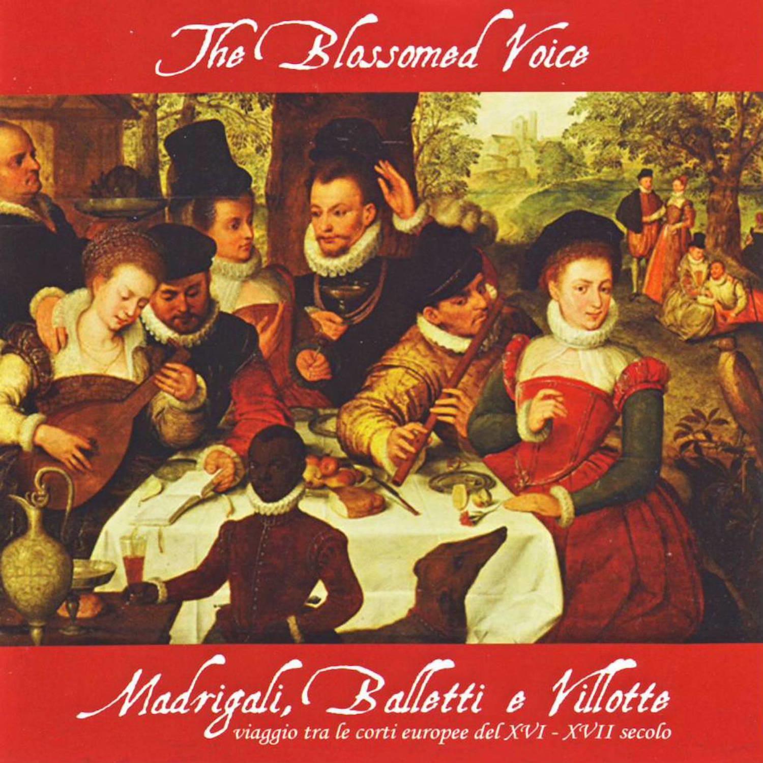 Il bianco e dolce cigno