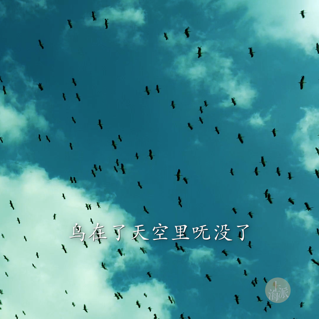 shang hai ge: niao fu mei le