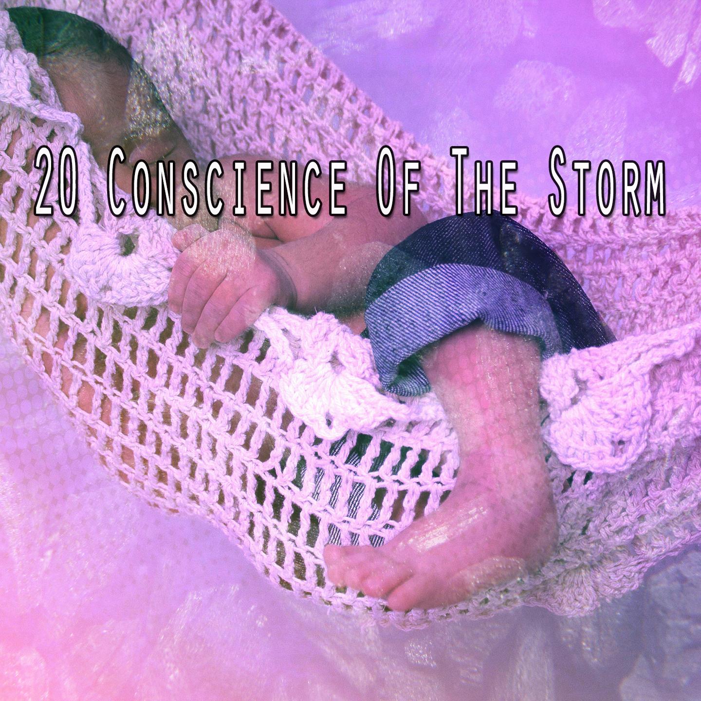 20 Conscience of the Storm
