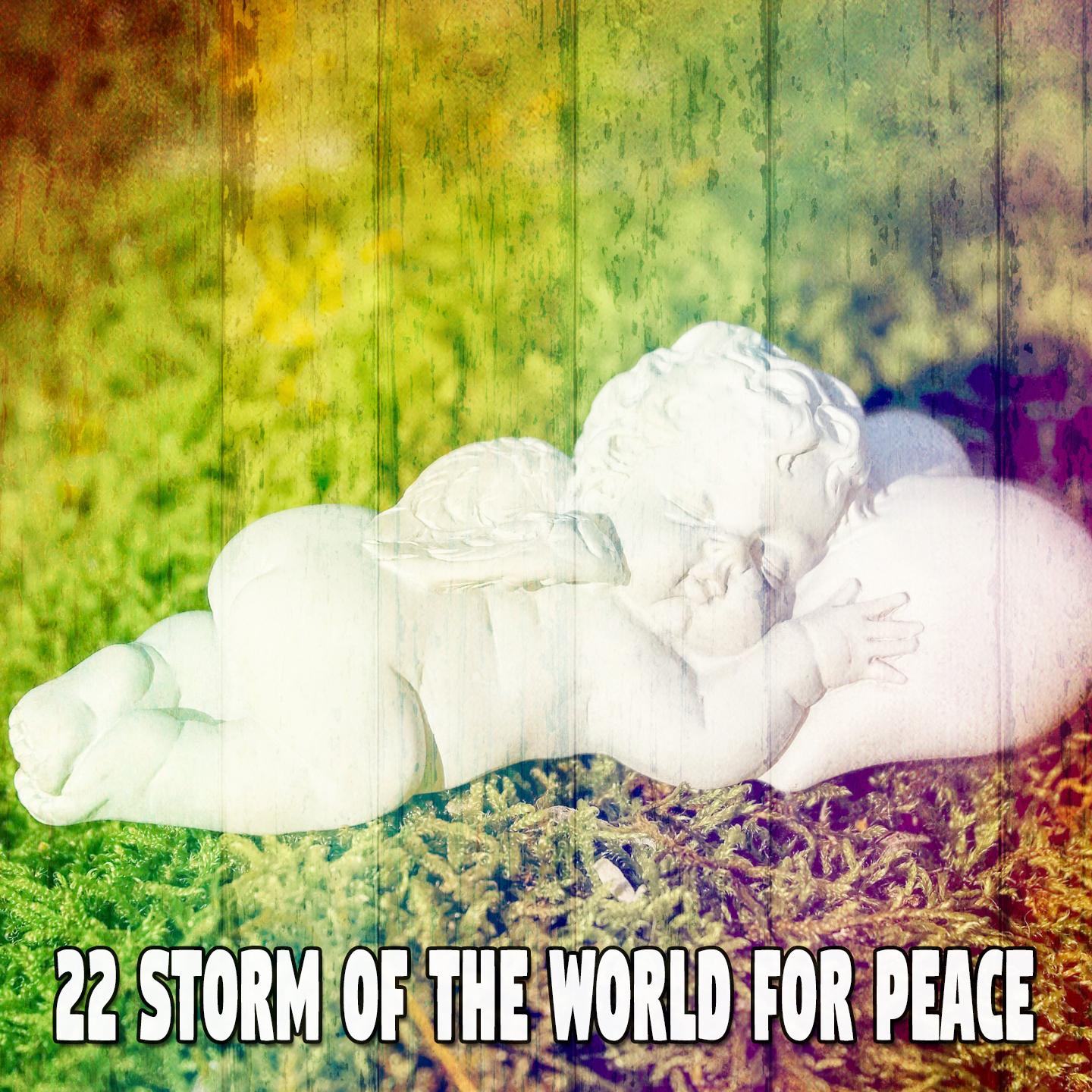 22 Storm of the World for Peace