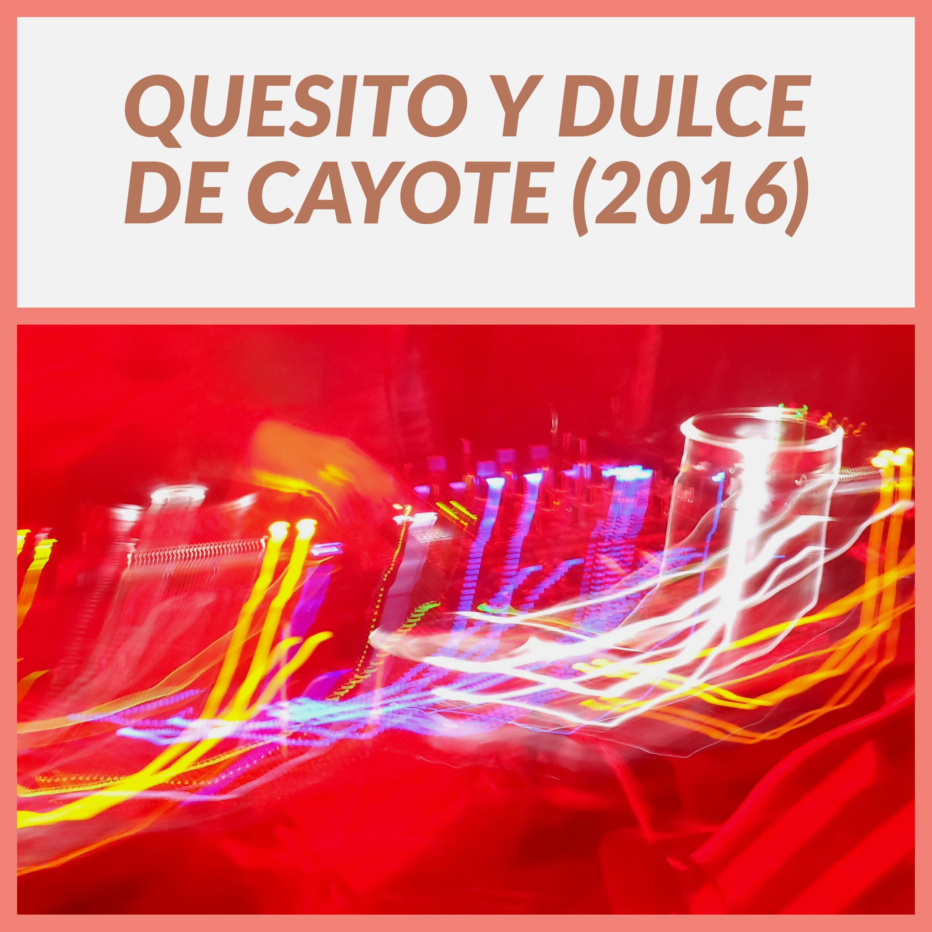 Quesito y dulce de cayote 2016