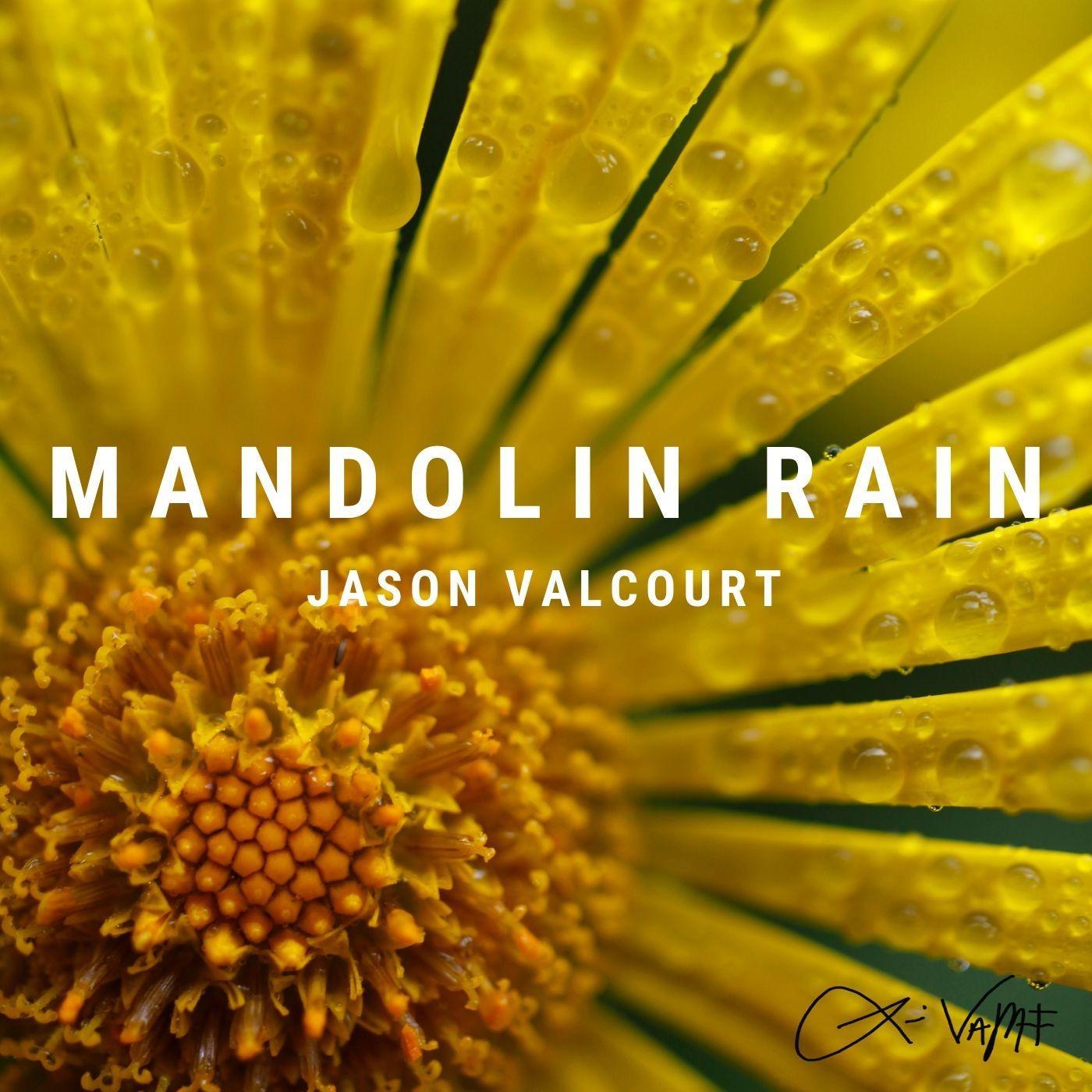 Mandolin Rain