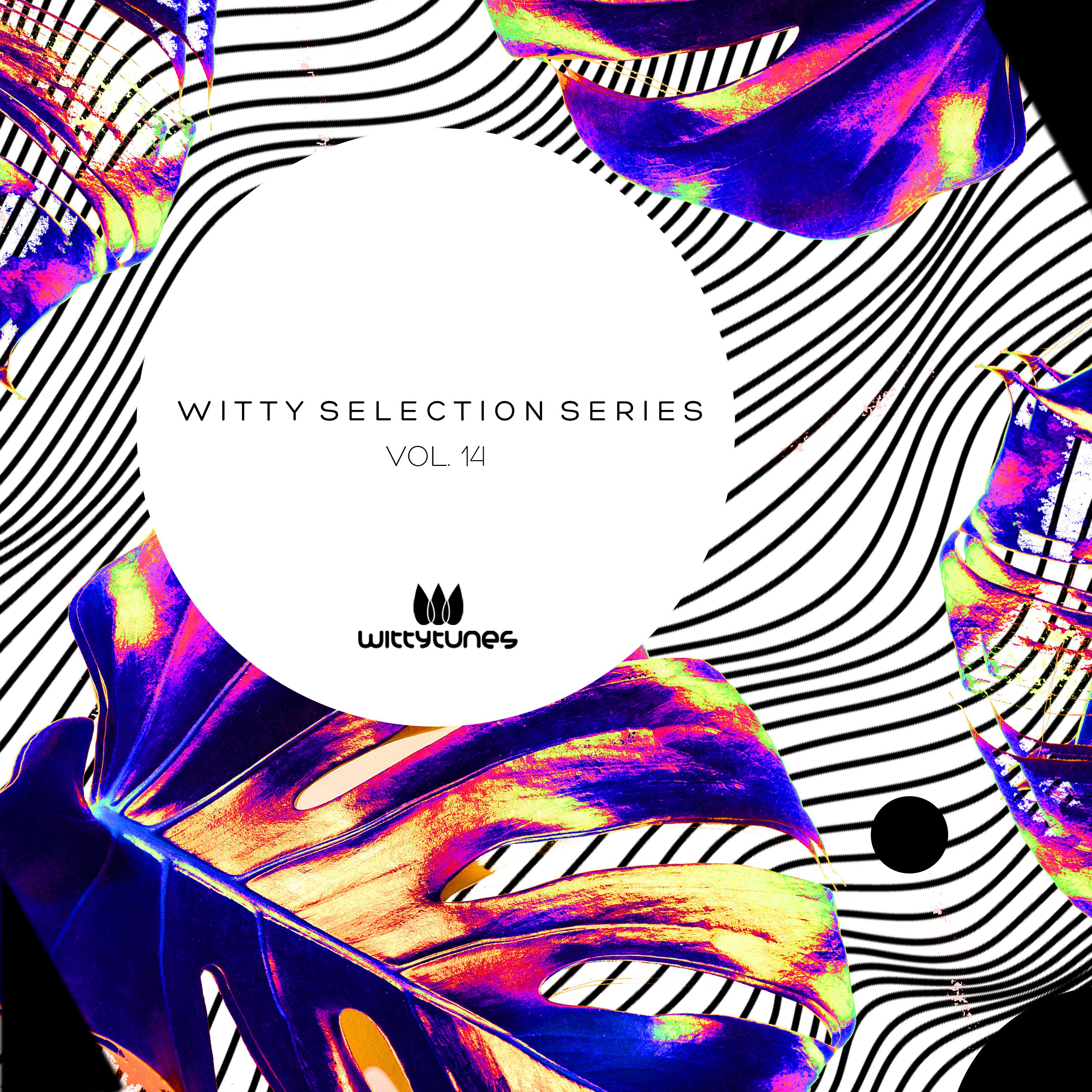 Witty Selection Series, Vol. 14