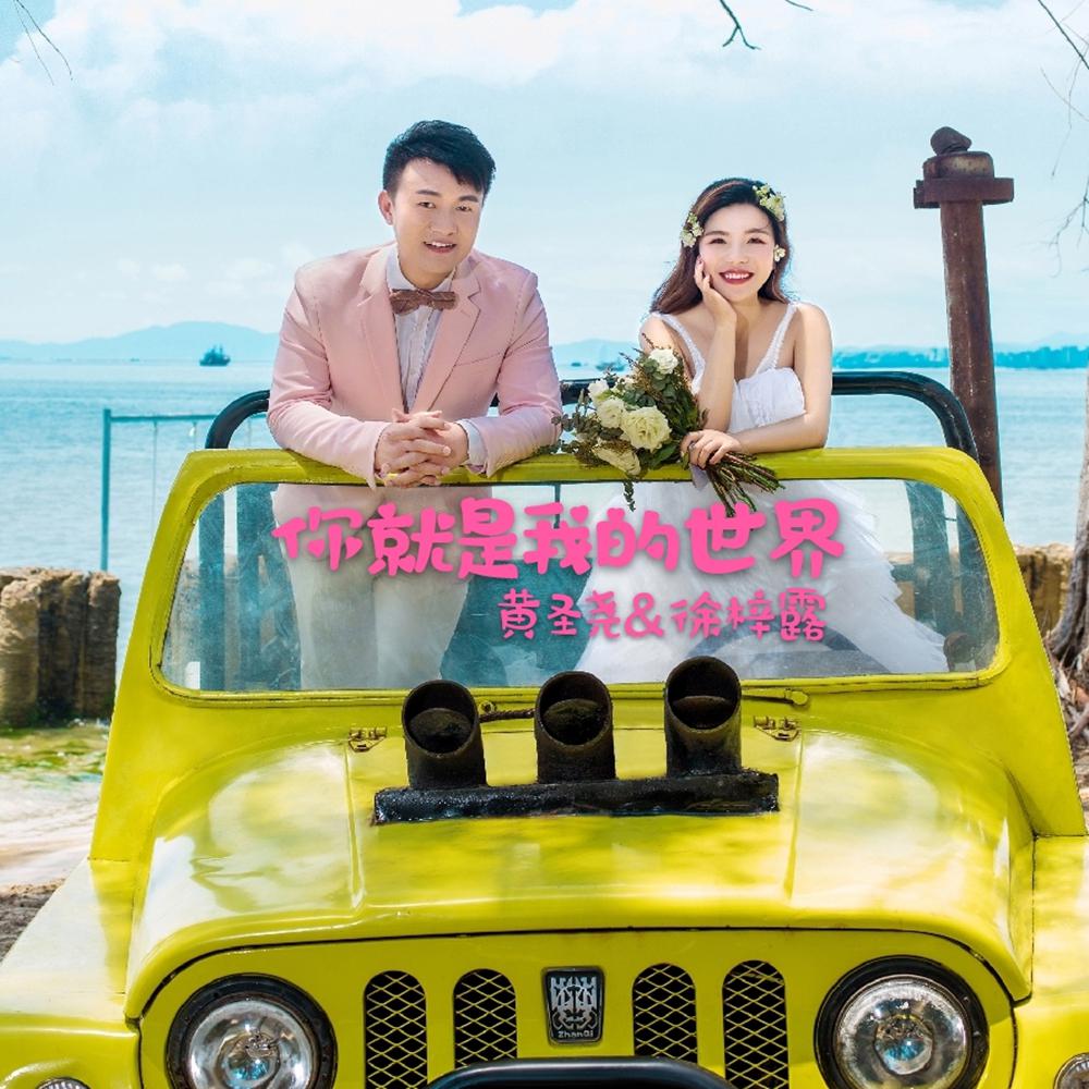 ni jiu shi wo de shi jie