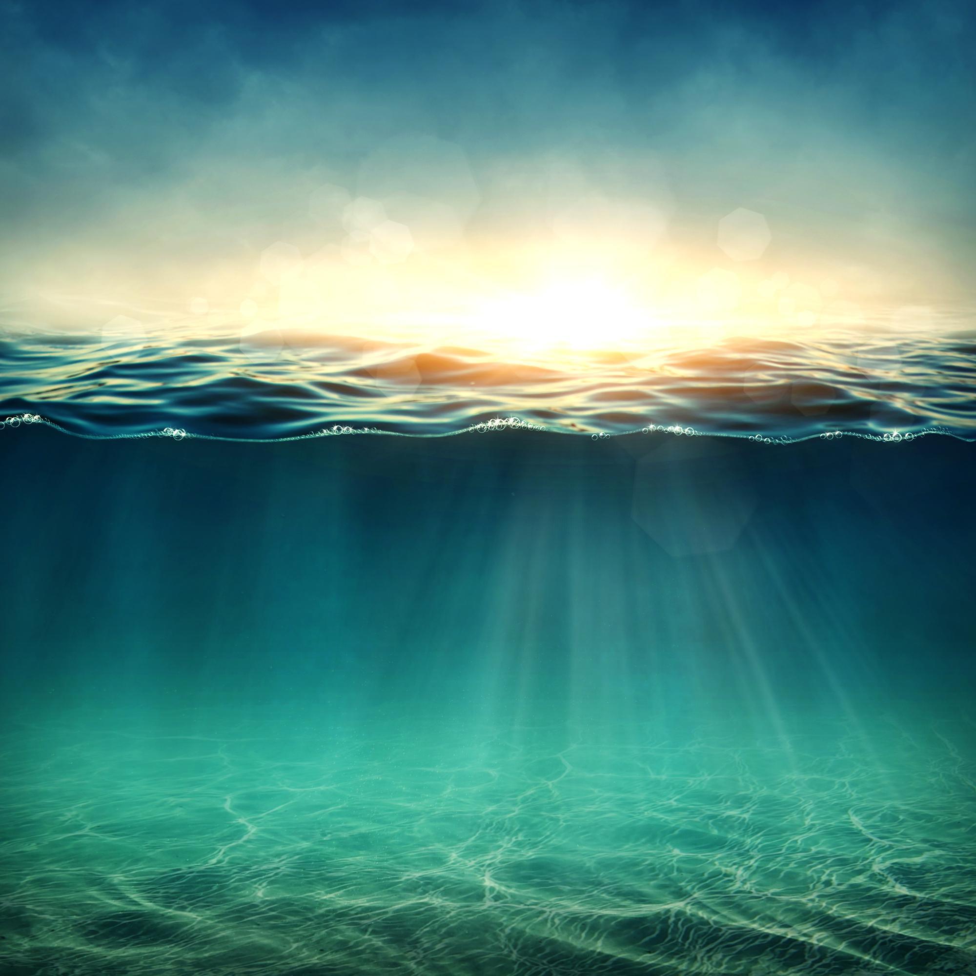 mei you ren shi yi zuo gu dao