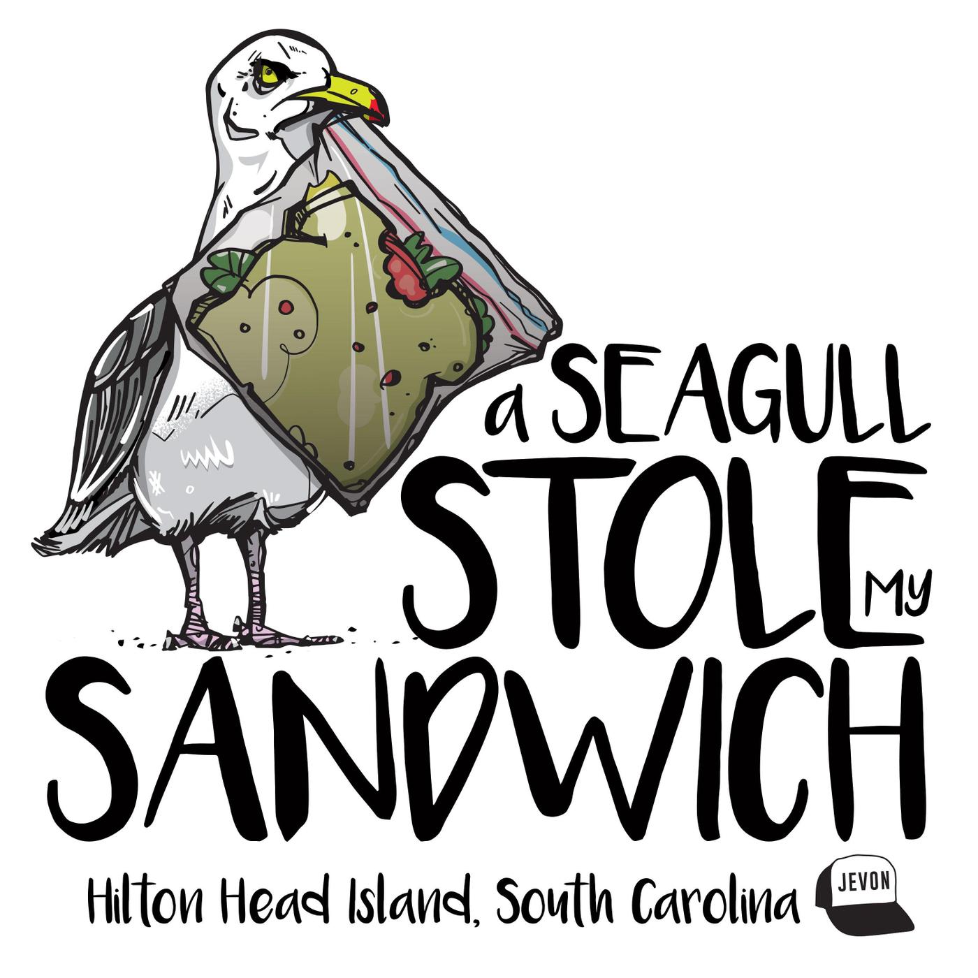 Seagull Stole My Sandwich