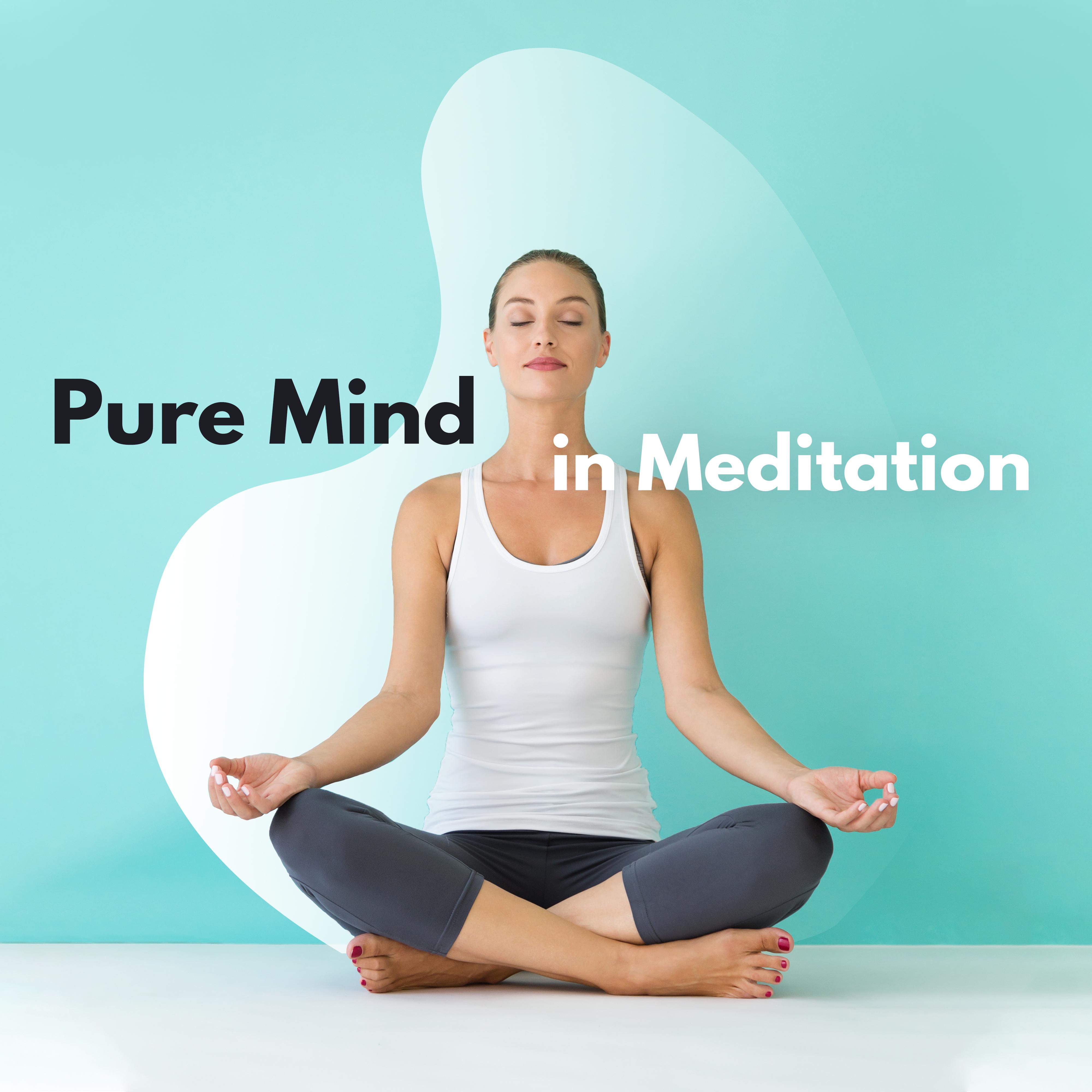 Pure Mind in Meditation: Meditation Music Zone, Relaxing Sounds for Relaxing Yoga, Reduce Stress, Zen, Reiki