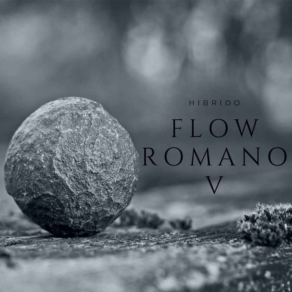 Flow Romanov