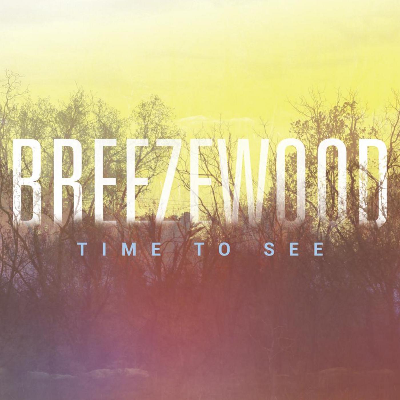 xin yuan bian li tie tan chang live