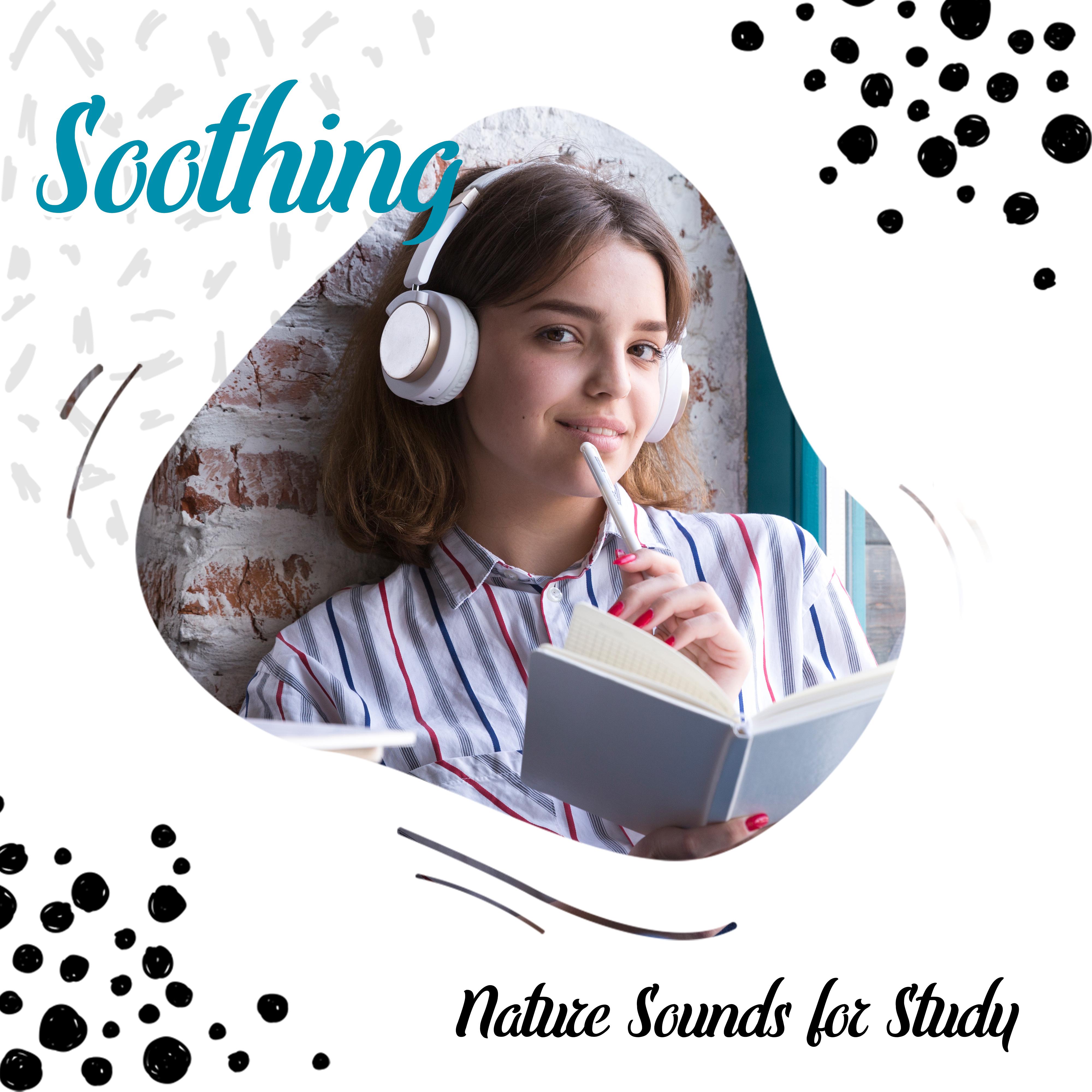 Soothing Nature Sounds for Study: Full Concentration, Reduce Stress, Relief Music, Inner Focus