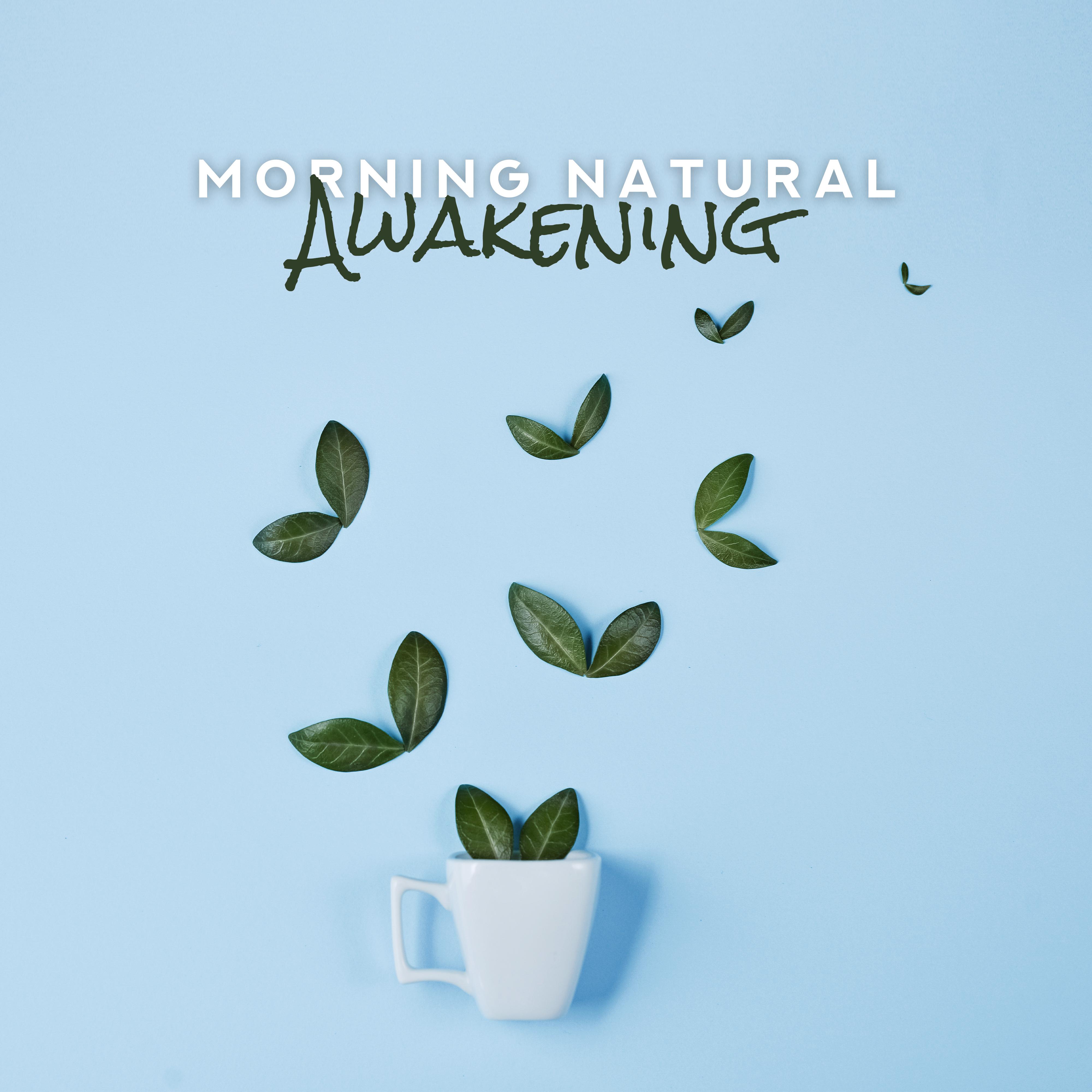 Morning Natural Awakening: 2019 Collection of New Age Ambient & Nature Music for Perfect Start a Day, Natural Sounds for Morning Yoga Training & Contemplation, Vital Energy Increase