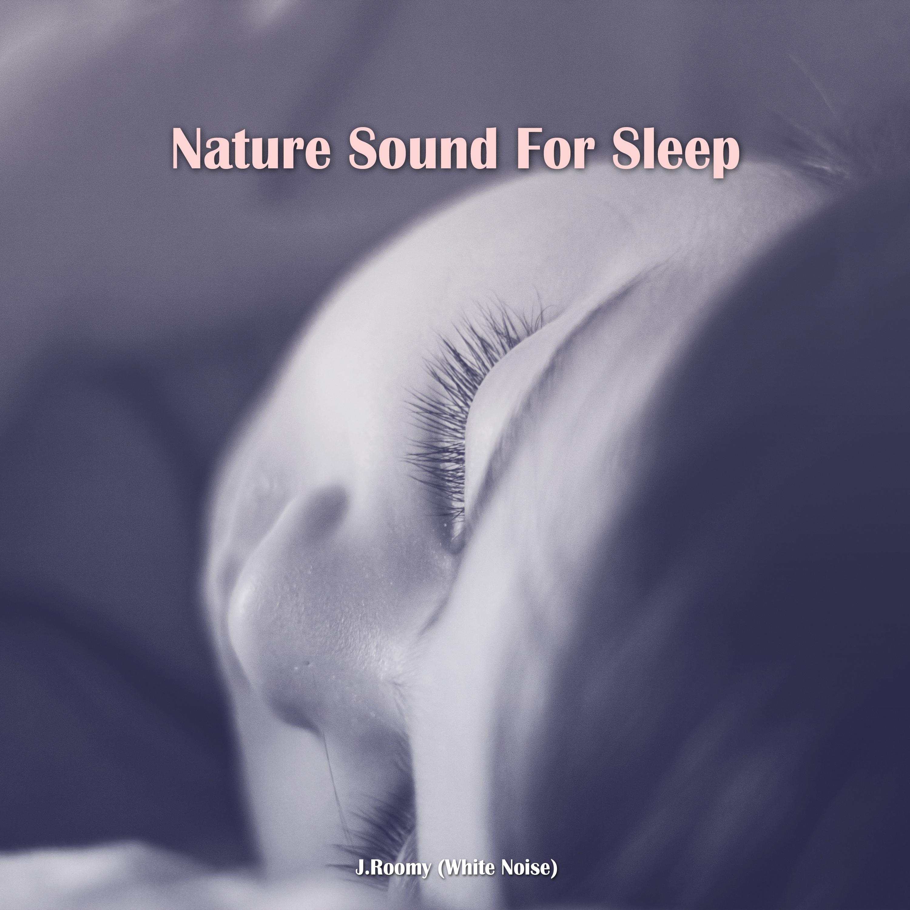 Nature Sound For Sleep