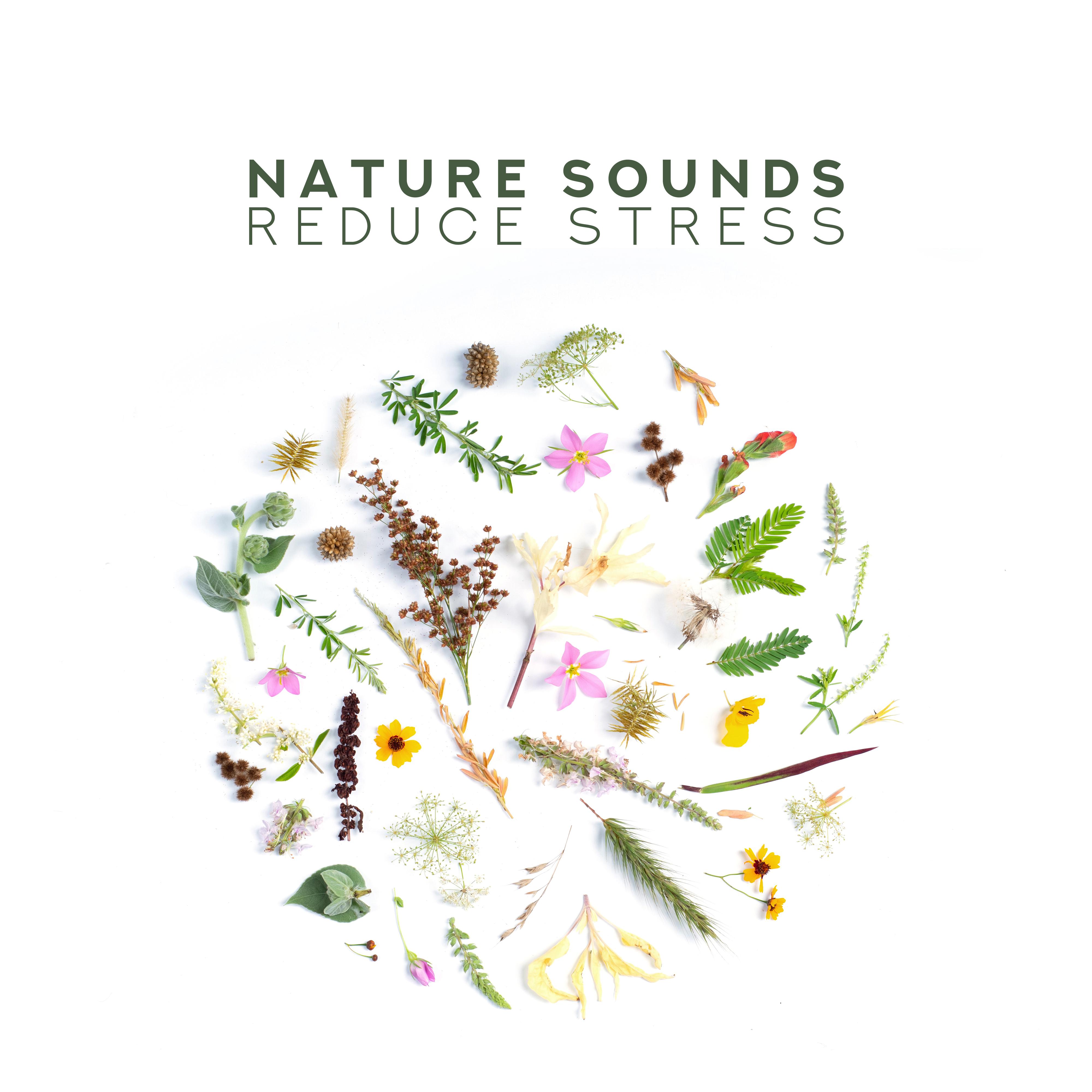 Nature Sounds Reduce Stress: 15 Relaxing Sounds, Deep Harmony, Perfect Relax Zone, Zen, Lounge, Sounds of Nature to Calm Down