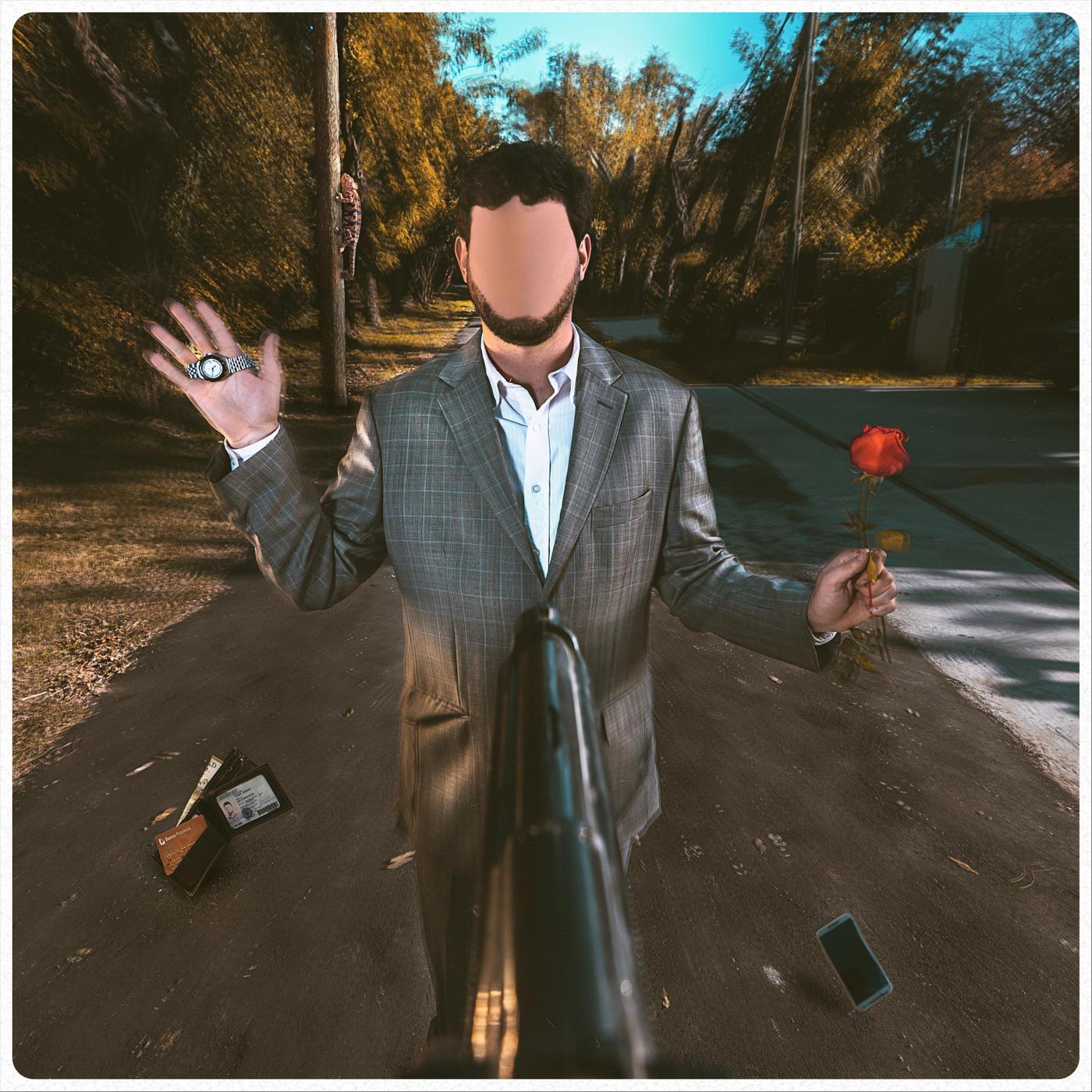 Co mo Robar un Camaleo n