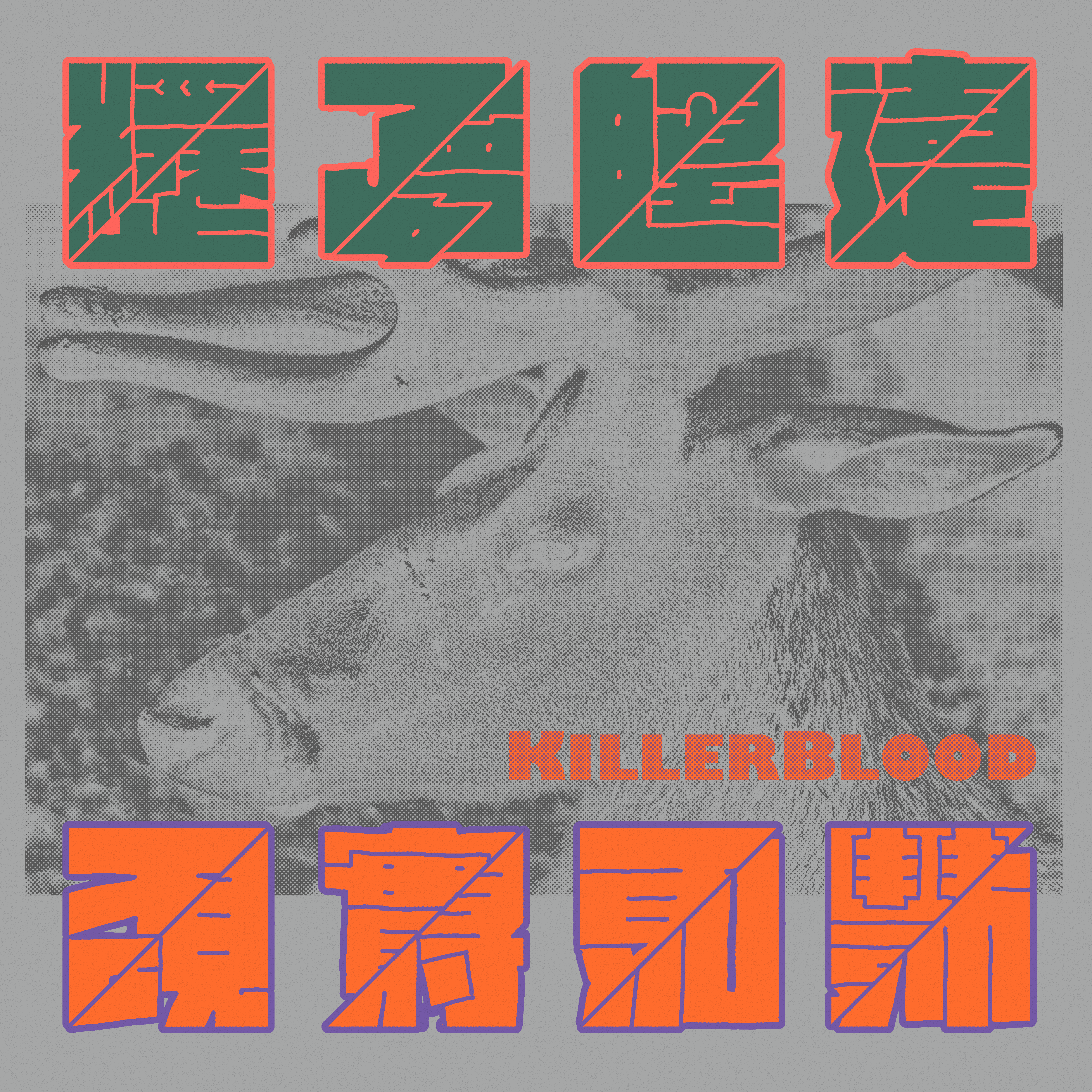 ri chu qian fei xiang