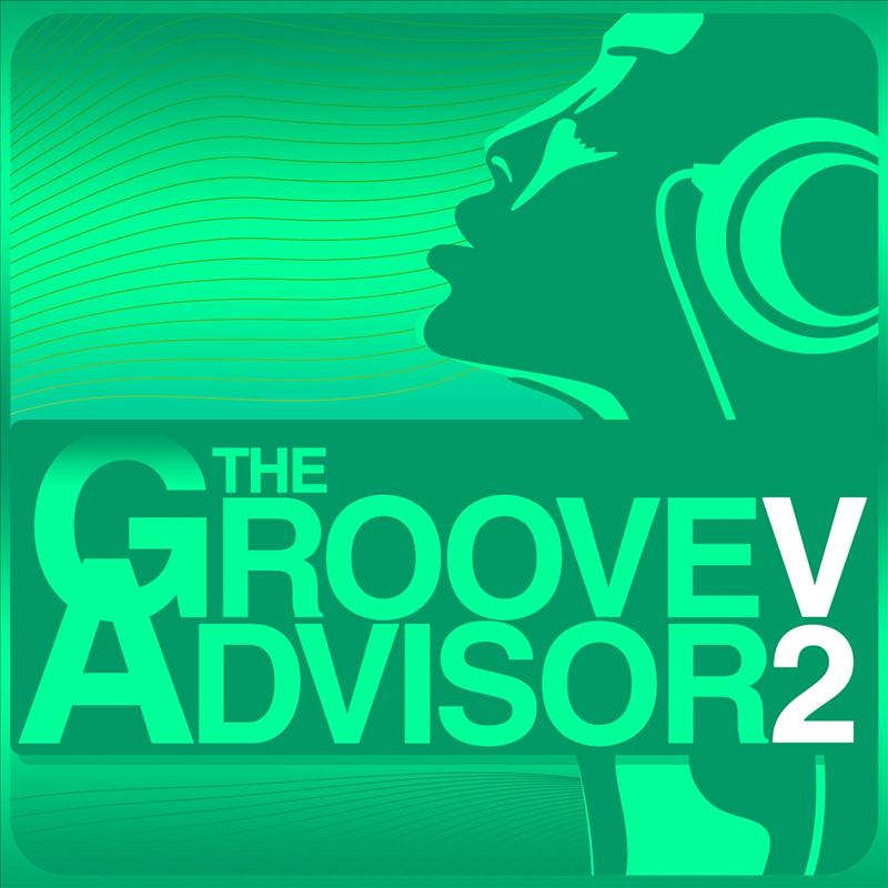 The Groove Advisor, Vol. 2