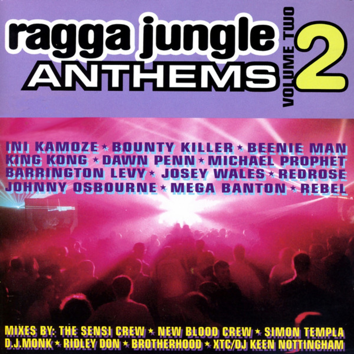 Ragga Jungle Anthems Vol. Two