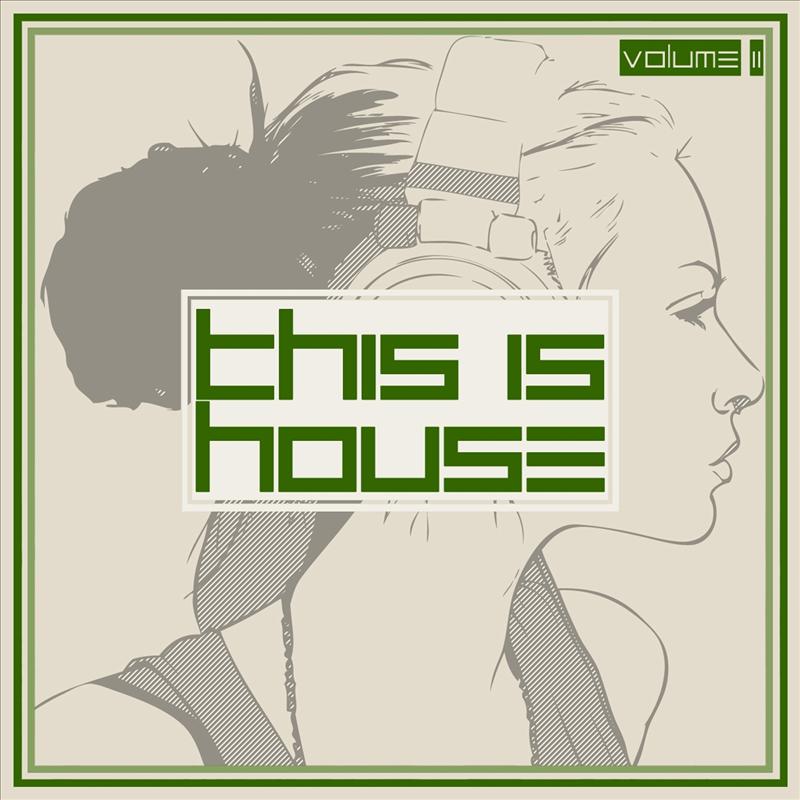 This Is House (Volume 2)