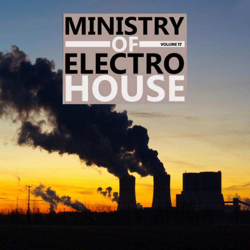 Ministry Of Electro House, Vol.17