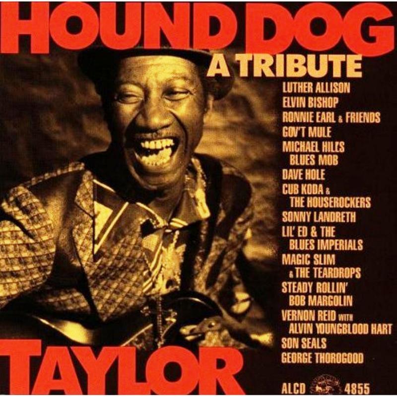 Hound Dog Taylor: a Tribute