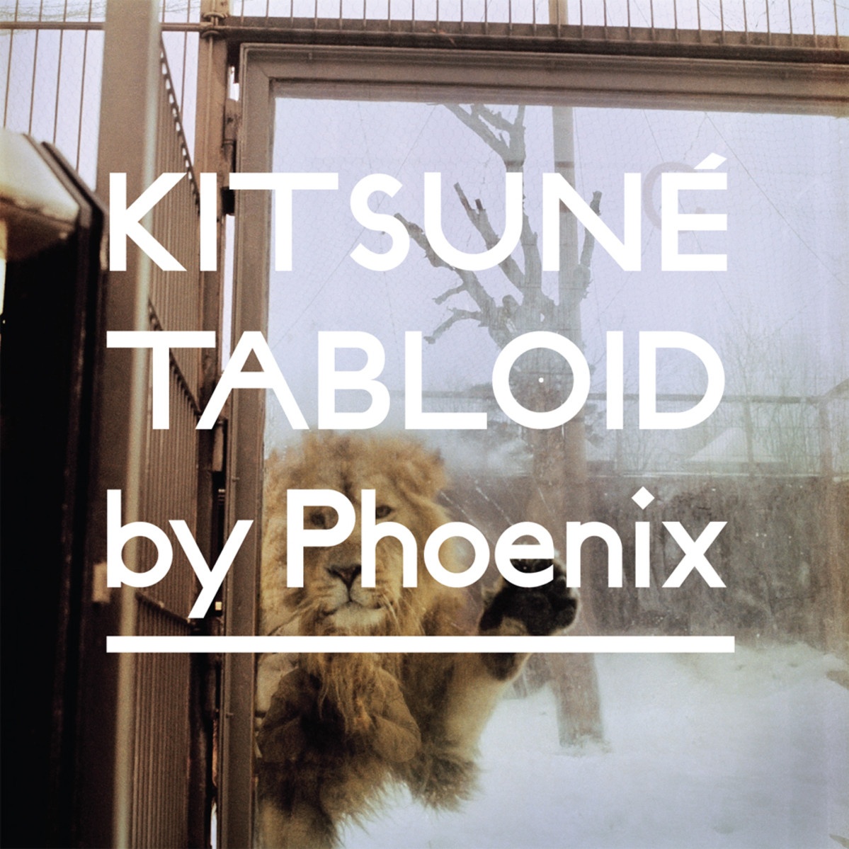 Kitsune Tabloid By Phoenix