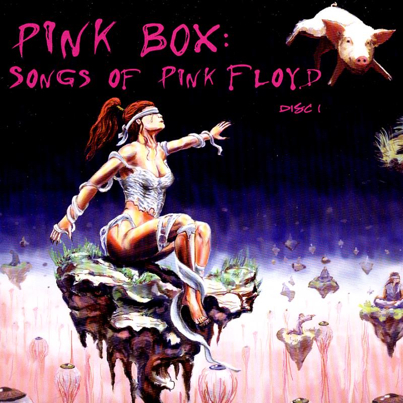 Pink Box: Songs Of Pink Floyd