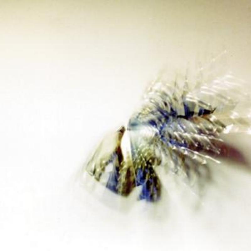 Look At Me Now, Falling - Maas Zoyd & Priarie mix