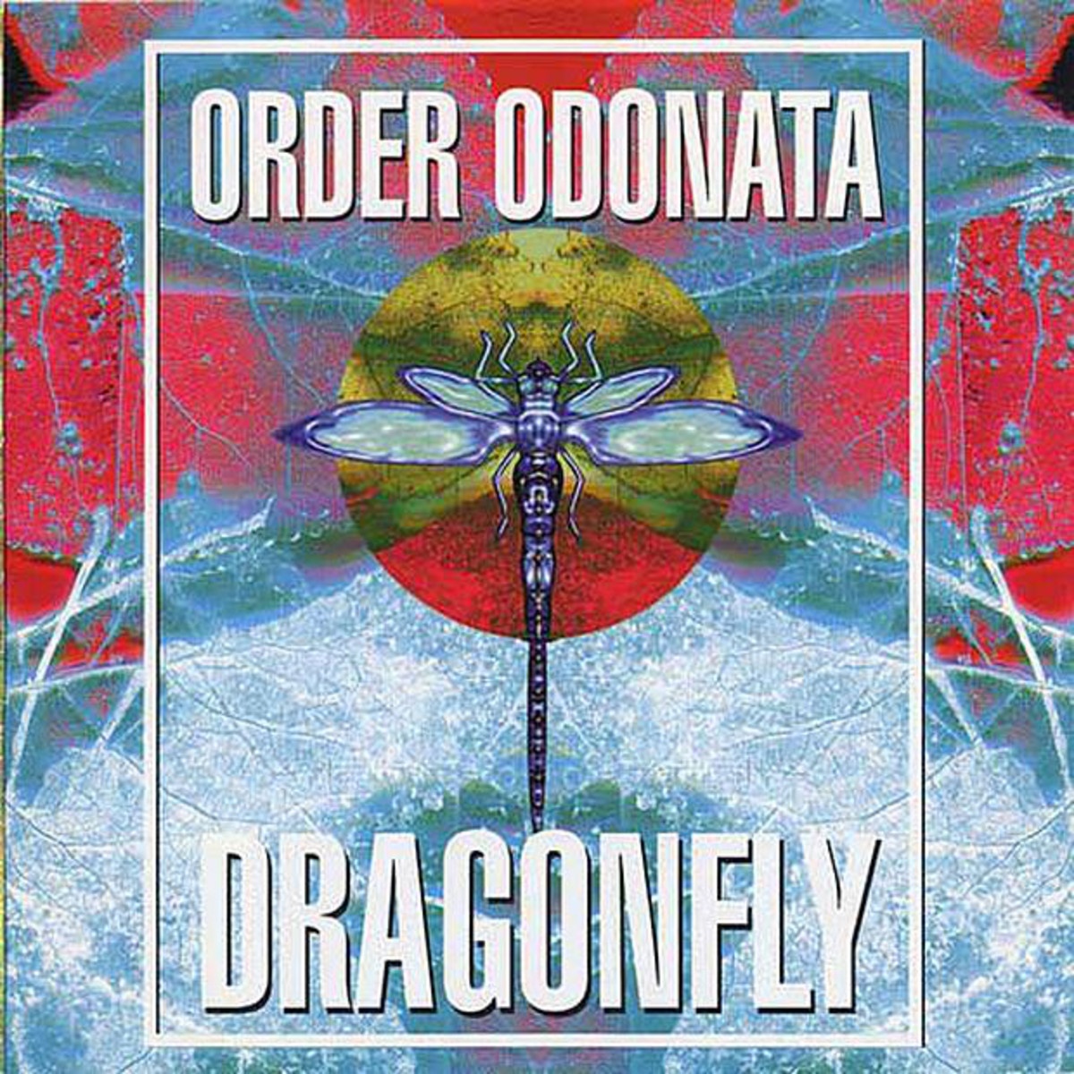 Wicked Warp (Maybe Trouble Ahead Remix)