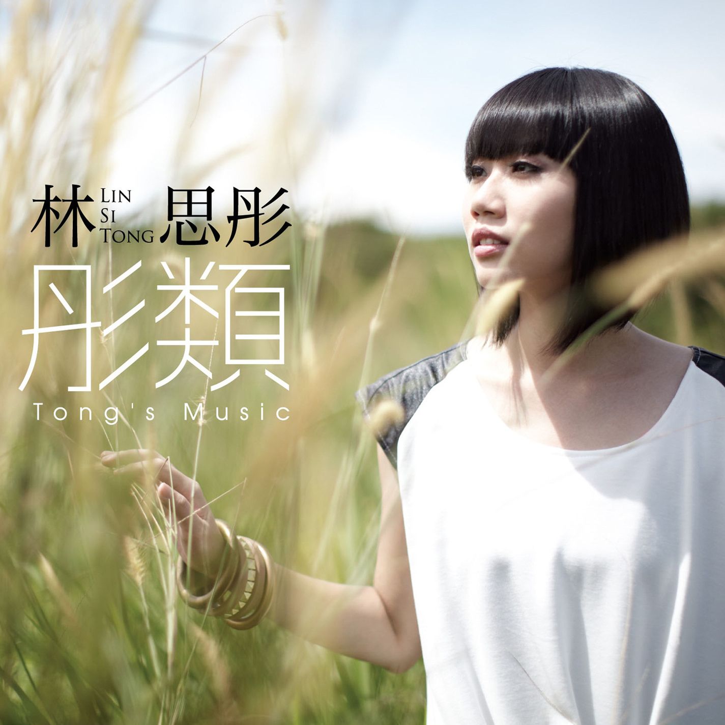 fan cha xing shi ban zou