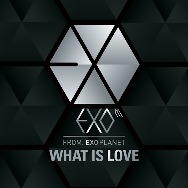 What Is Love (Chinese ver.)