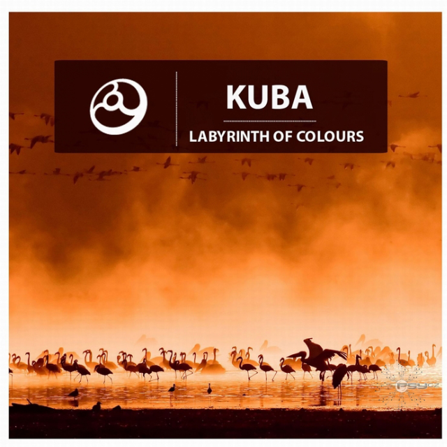 Labyrinth Of Colours