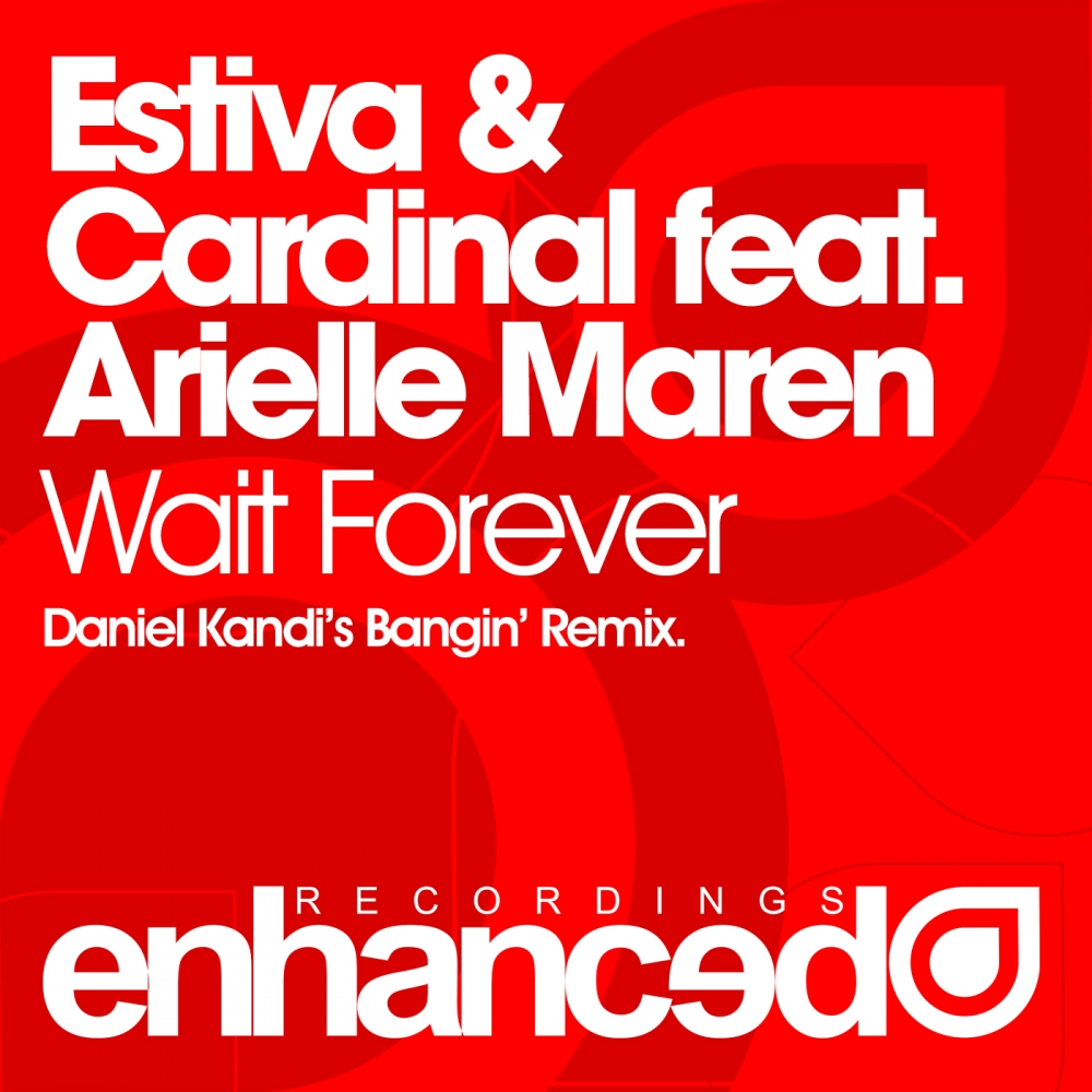 Wait Forever (Daniel Kandi's Bangin' Remix)