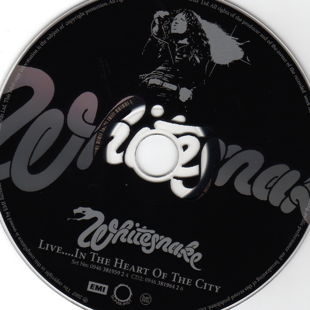 Walking In The Shadow Of The Blues