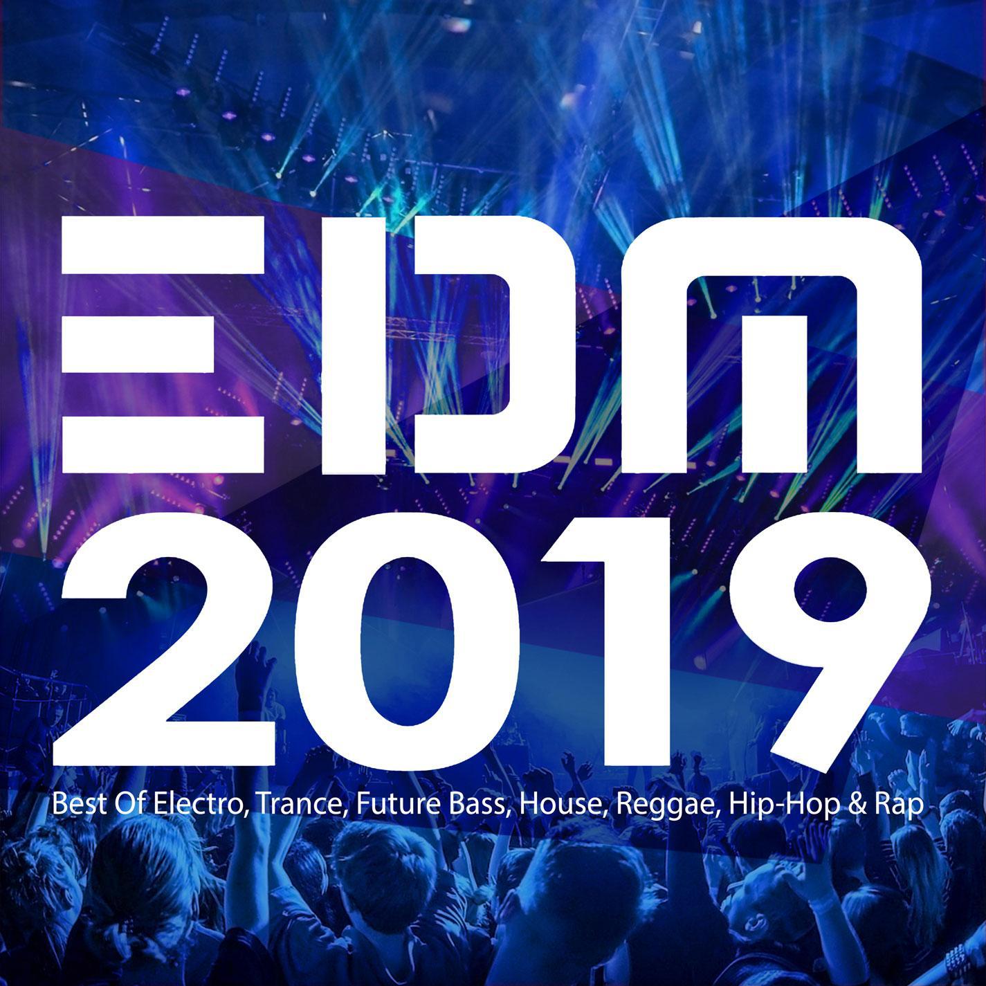 EDM 2019 - Best Of Electro, Trance, Future Bass, House, Reggae, Hip-Hop & Rap (50-track Main Edition)