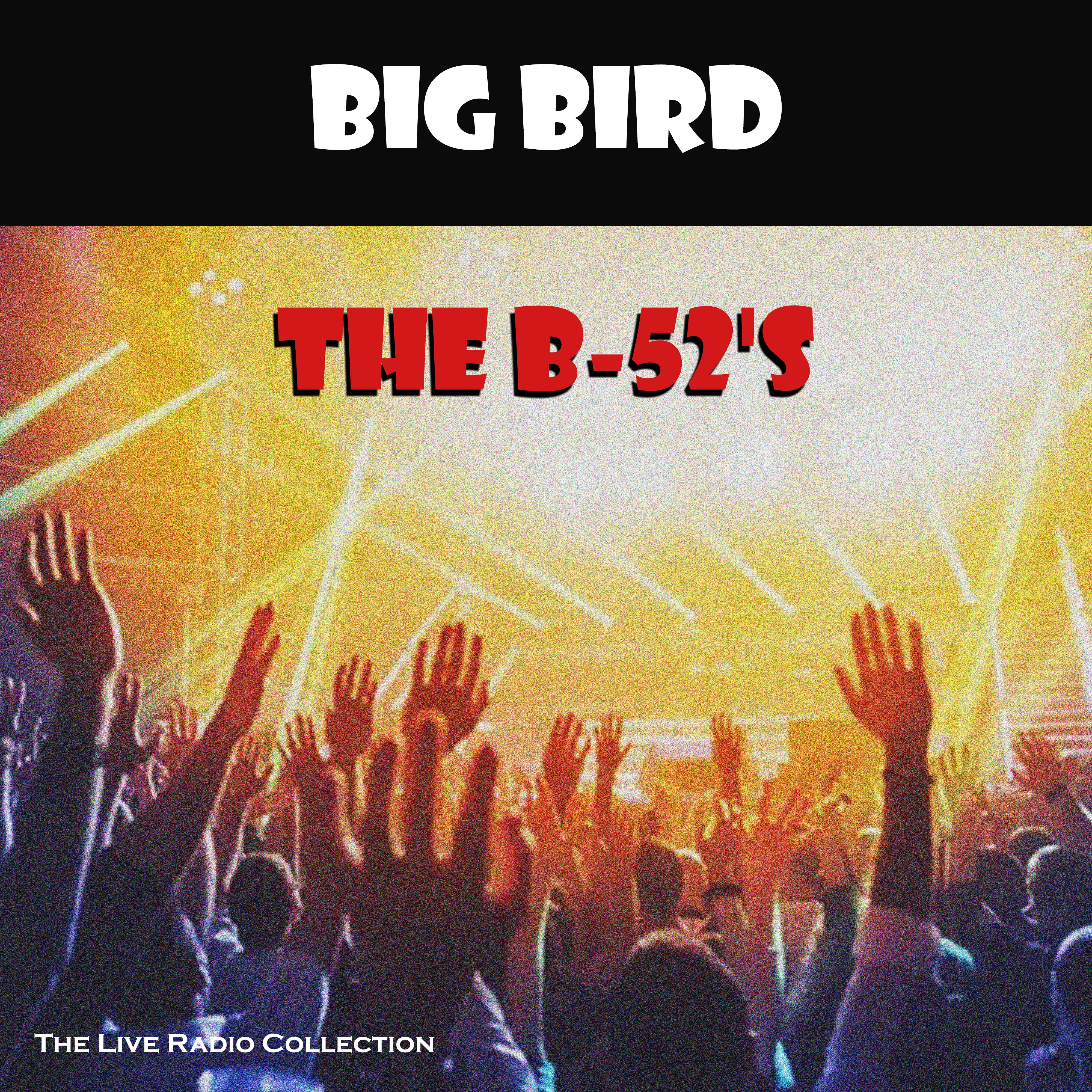 Big Bird (Live)