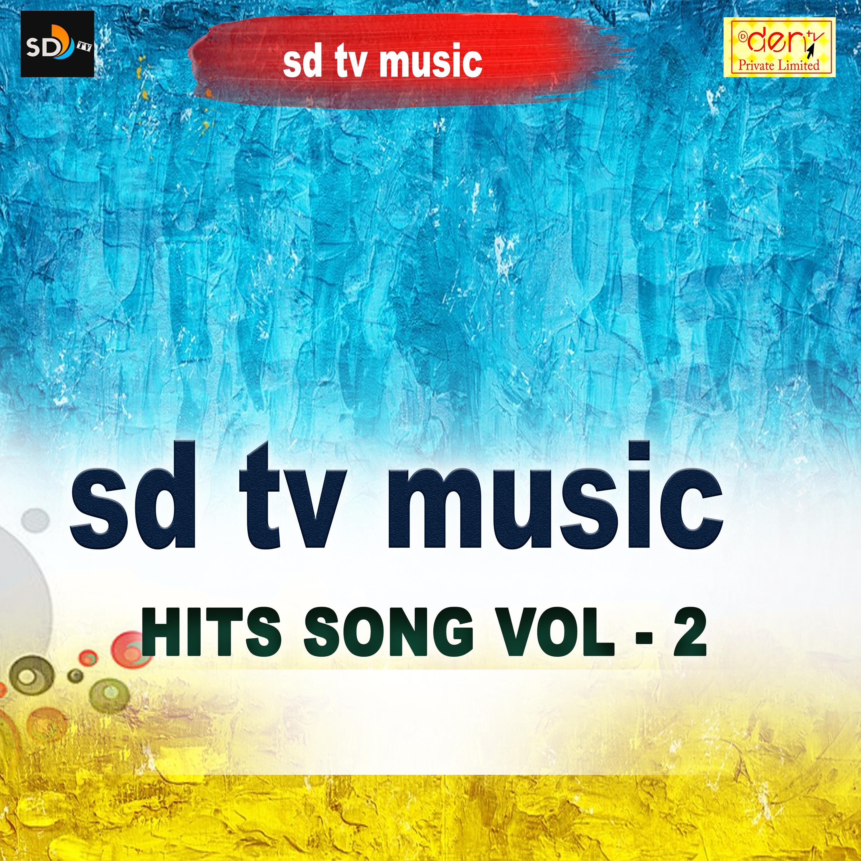 SD Tv Music Hits Vol - 2