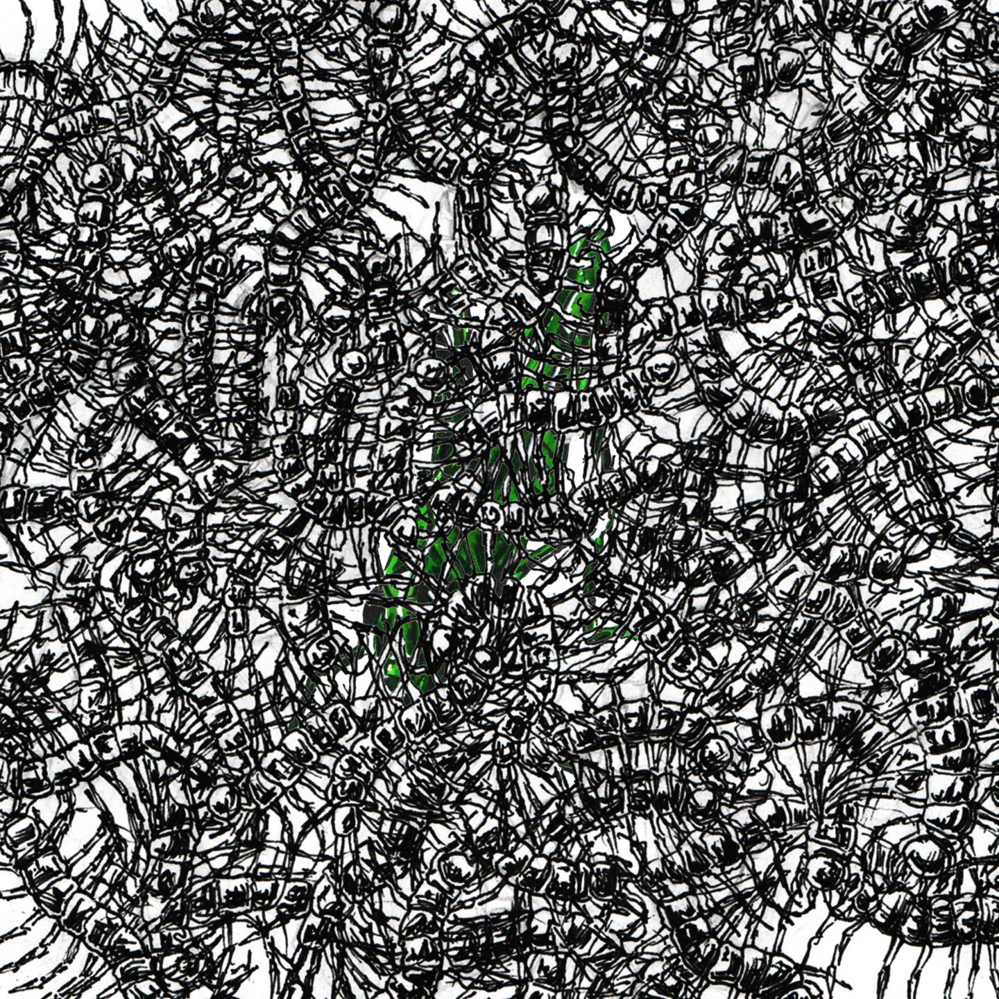 My Beautiful Madness