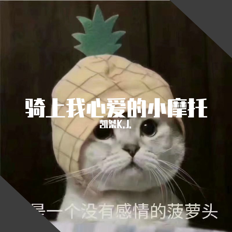 qi shang wo xin ai de xiao mo tuo