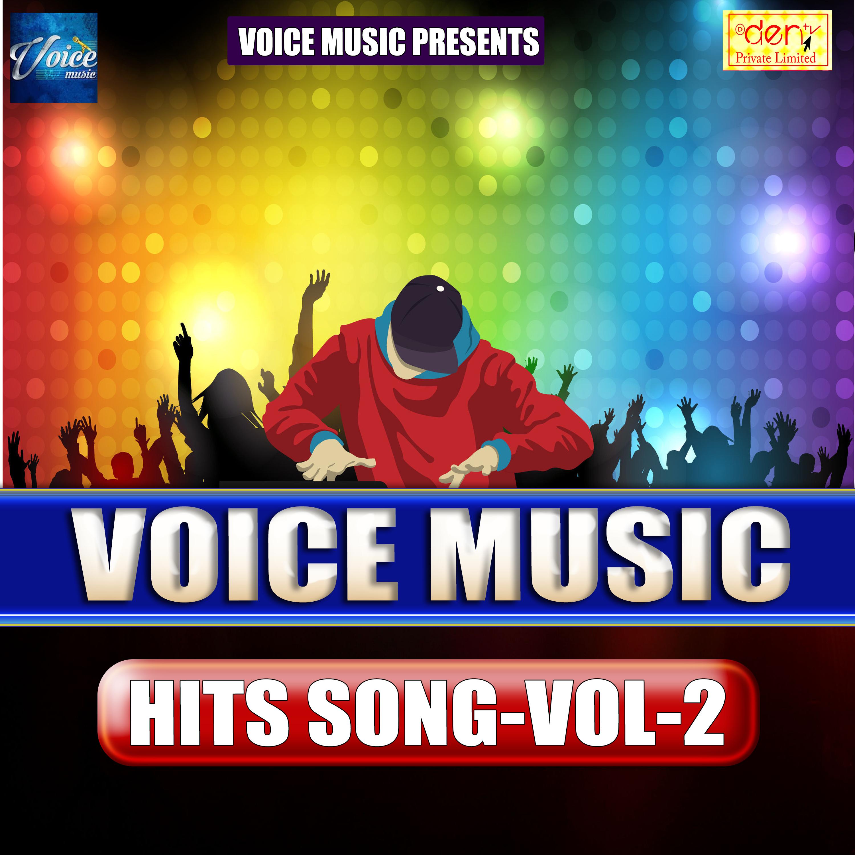 Voice Music Hits Vol - 2