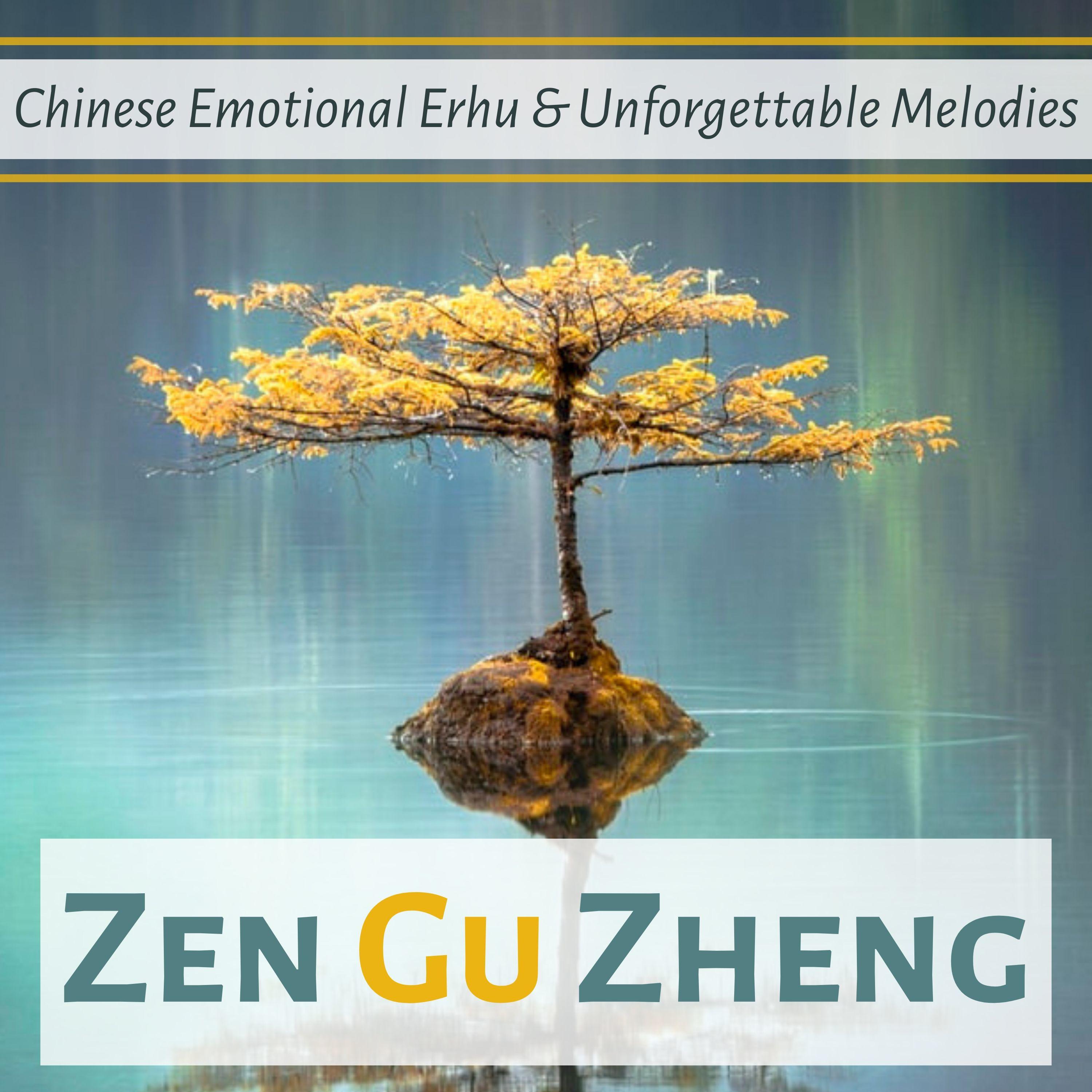 Chinese Emotional Erhu