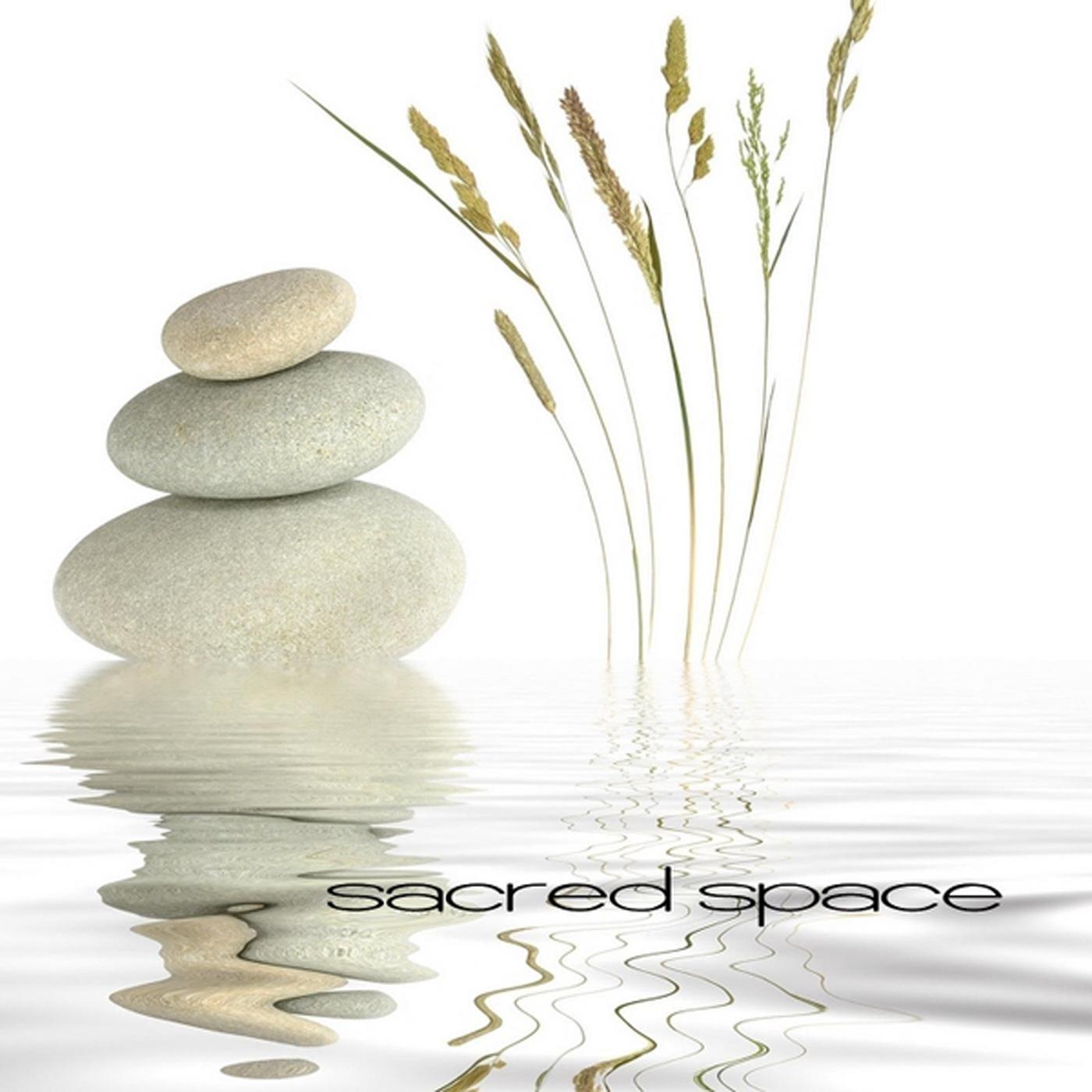 Yü rü Anca Gidersin