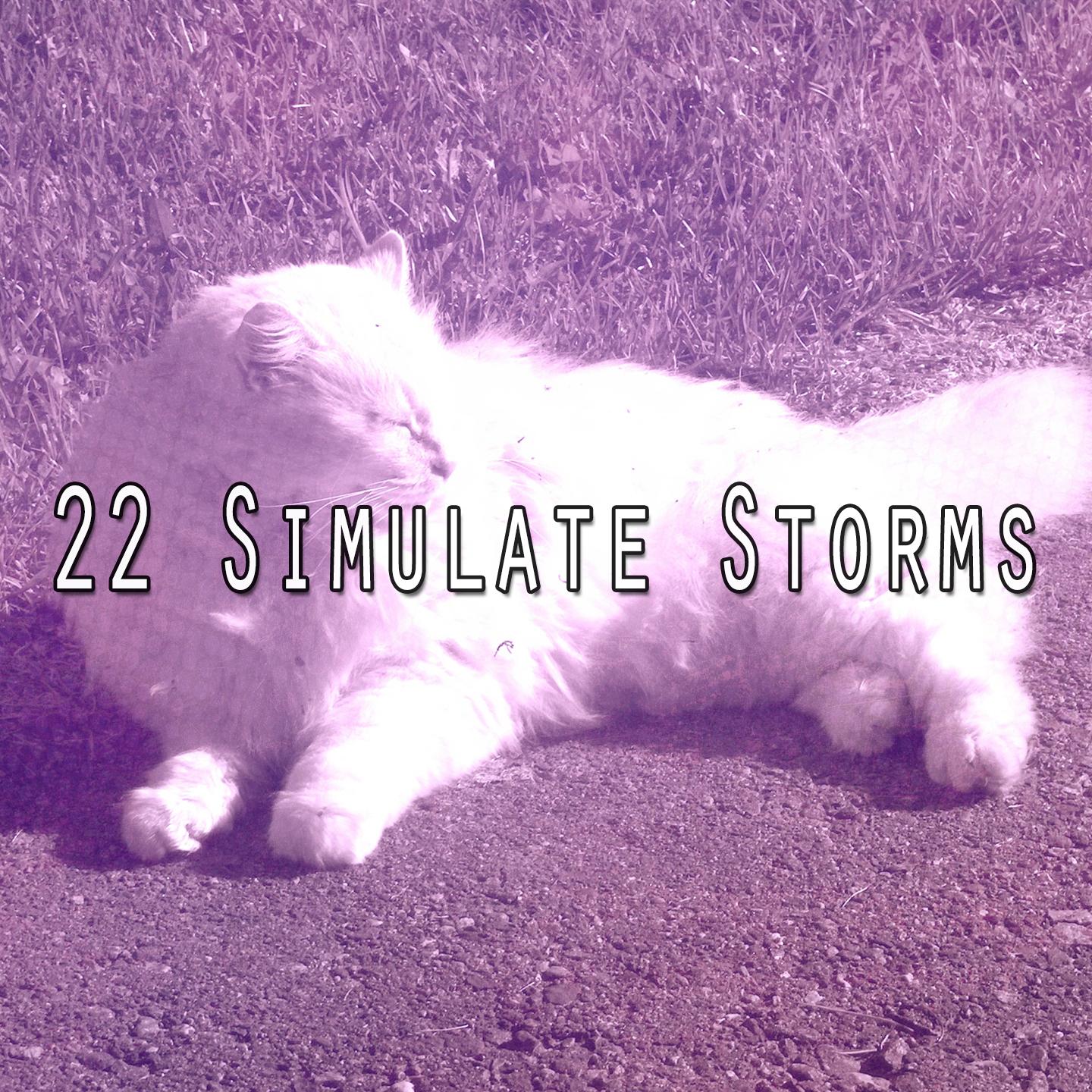 22 Simulate Storms