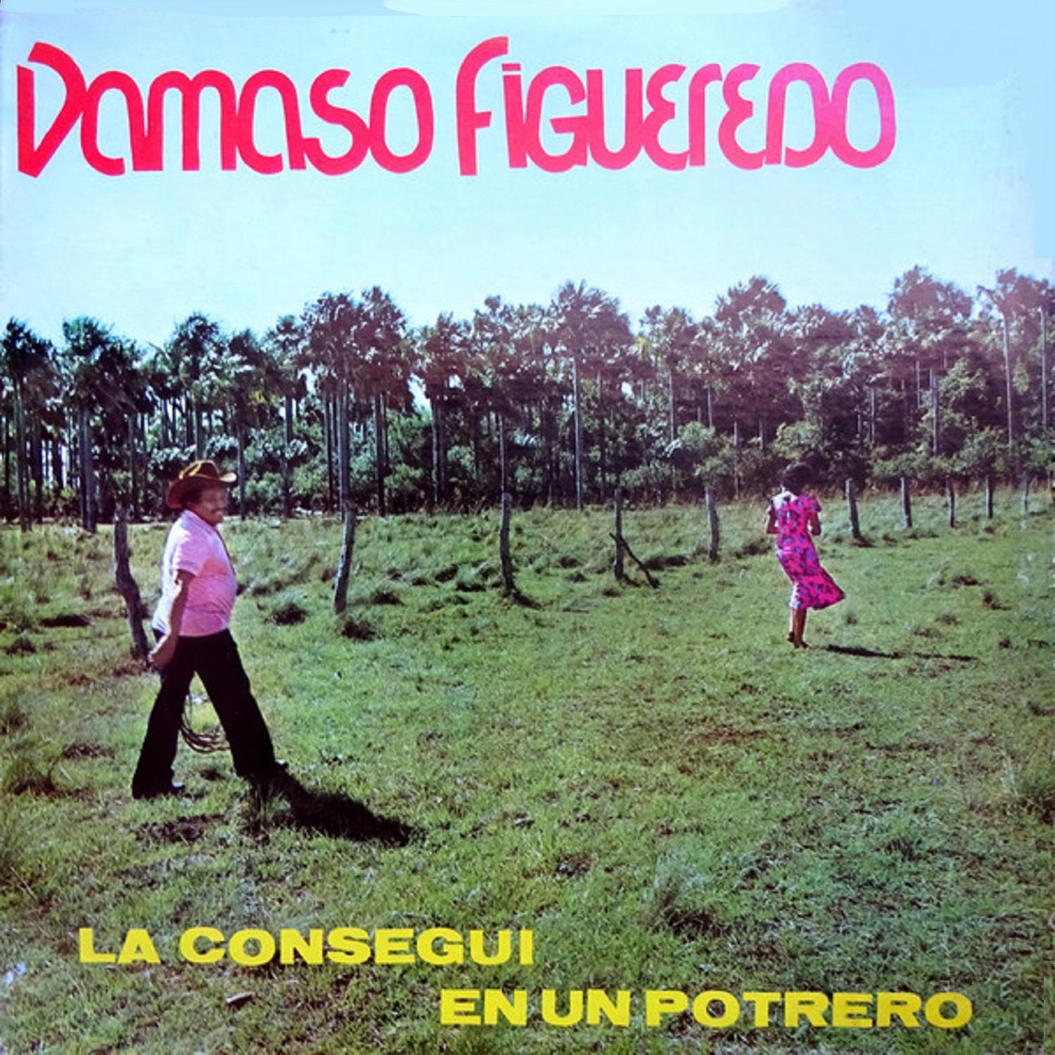 Mu sica Llanera: La Consegui en un Potrero