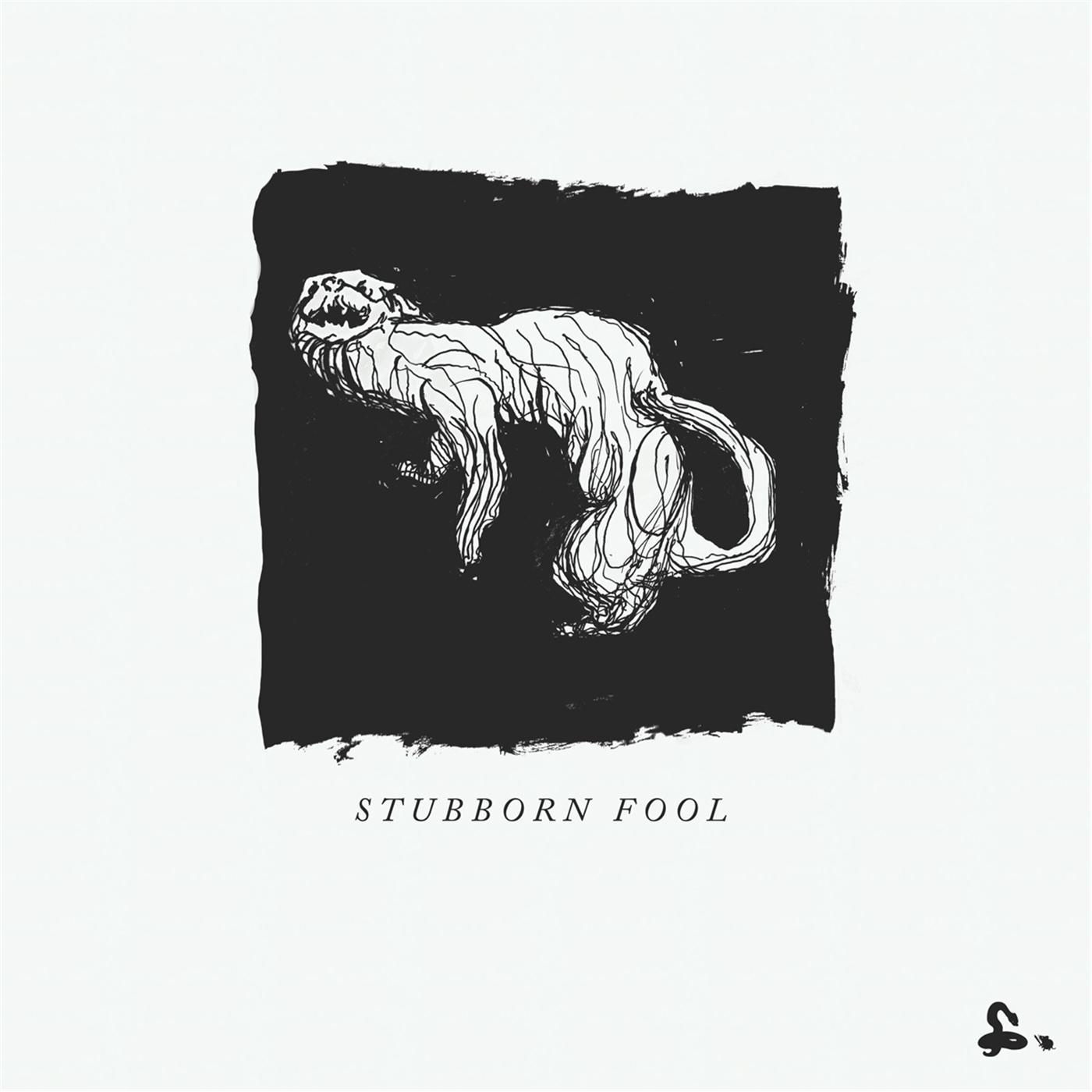 Stubborn Fool